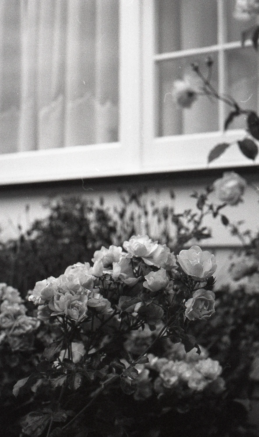 Tmax Charlotte Turner (33 of 35).jpg