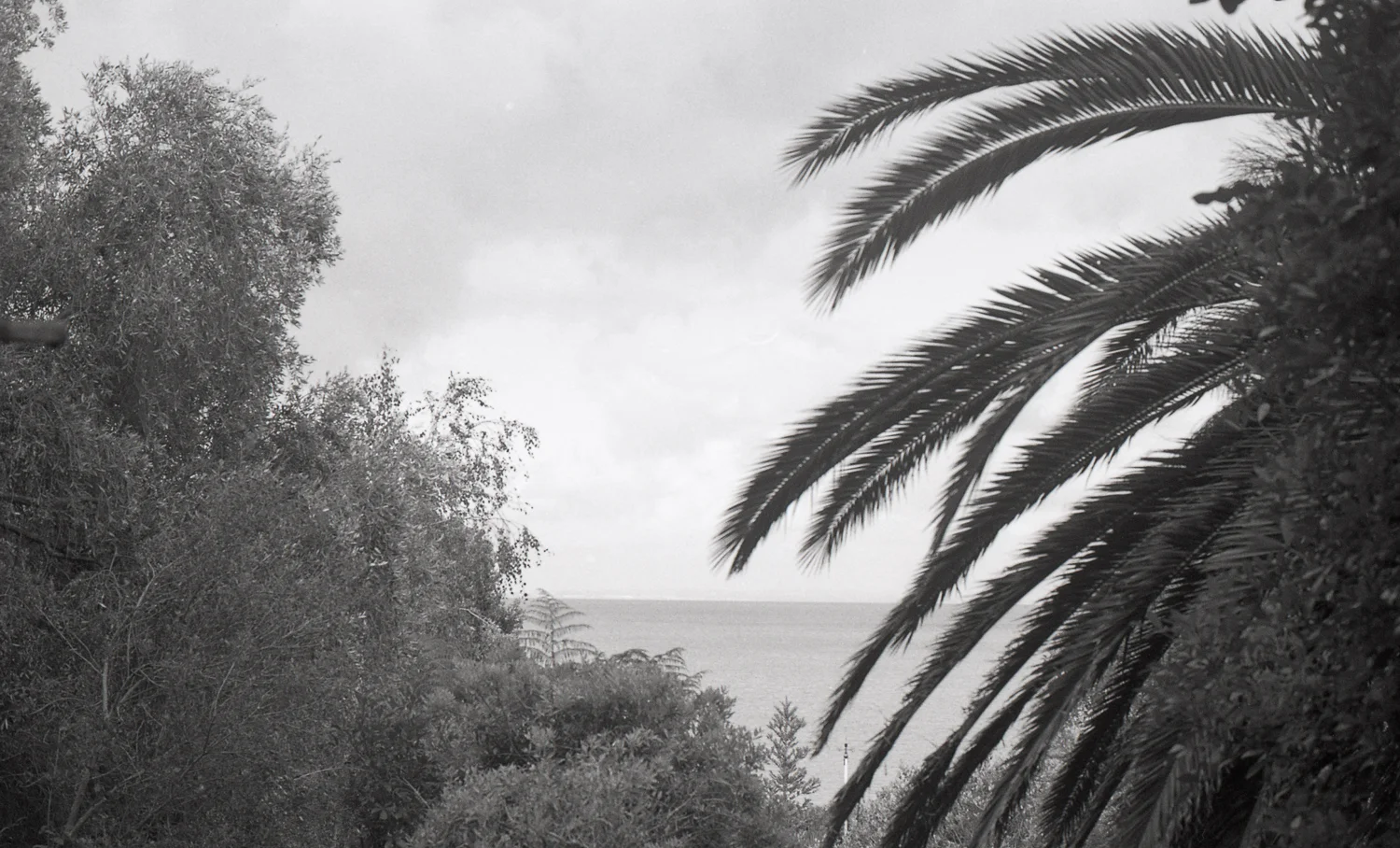 Tmax Charlotte Turner (23 of 35).jpg