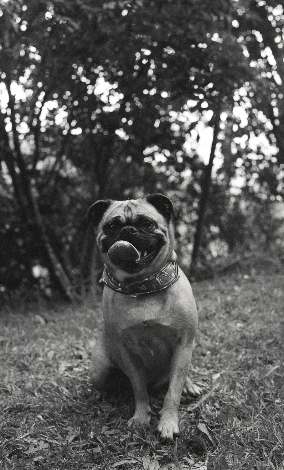 Tmax Charlotte Turner (34 of 35).jpg