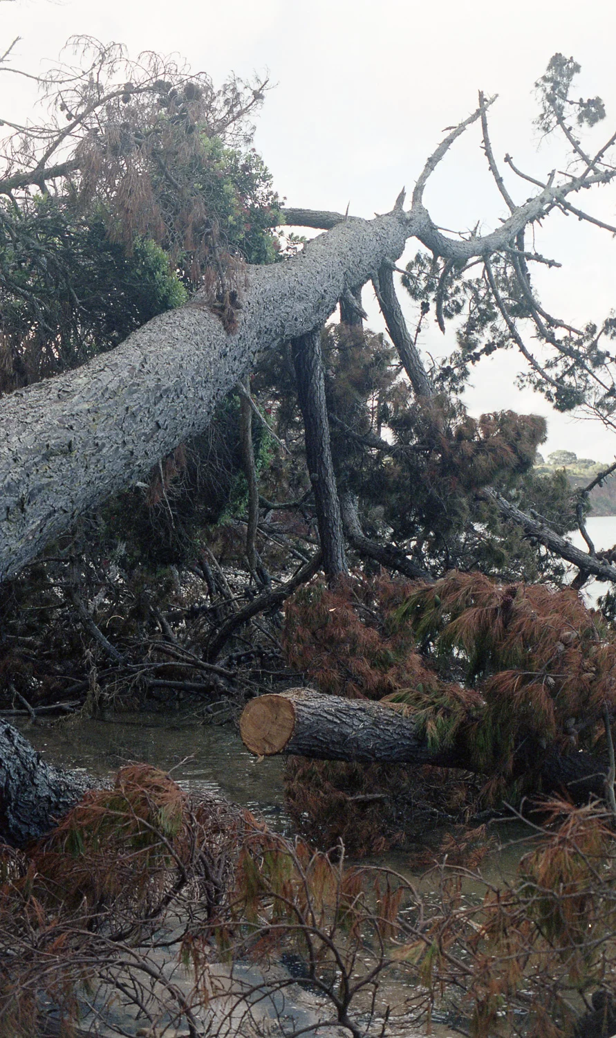 Portra 400 Charlotte Turner (4 of 37).jpg