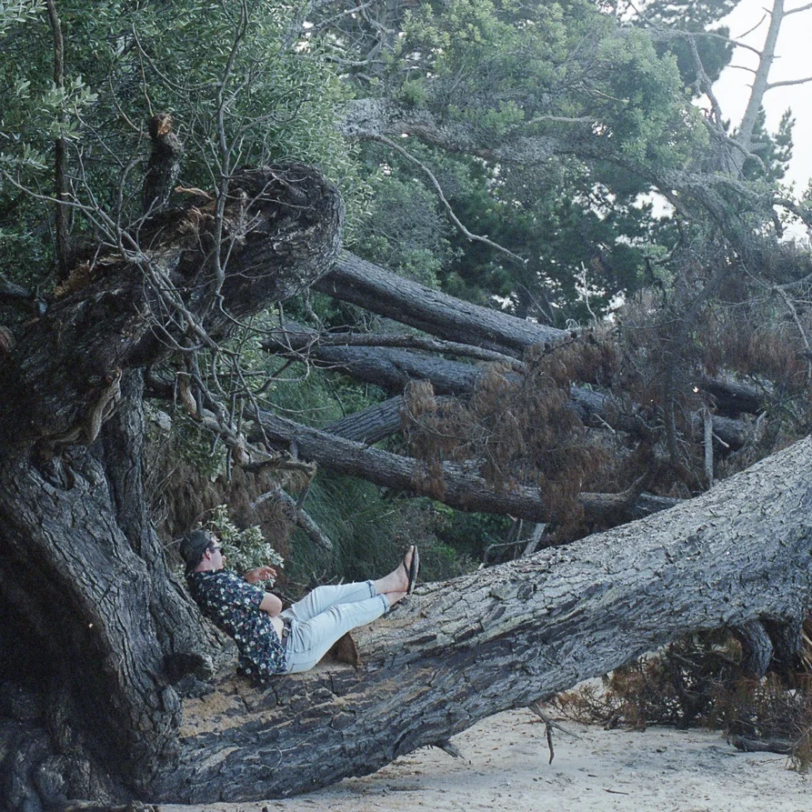 My Life on 35mm #10 | Portra 400 December 2018