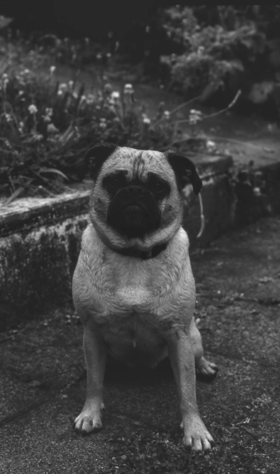 Black and white kind of solves a lot haha