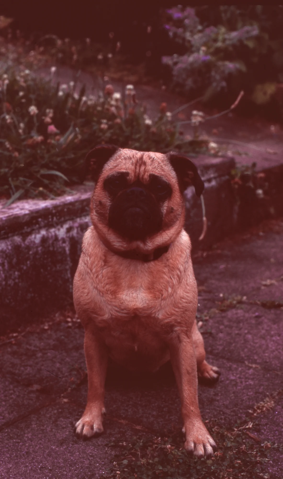 Tweaked a little bit