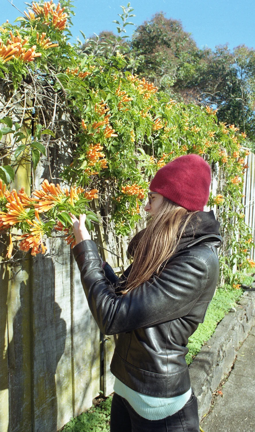 Roll 13 Kodak Gold 1 (19 of 19).jpg