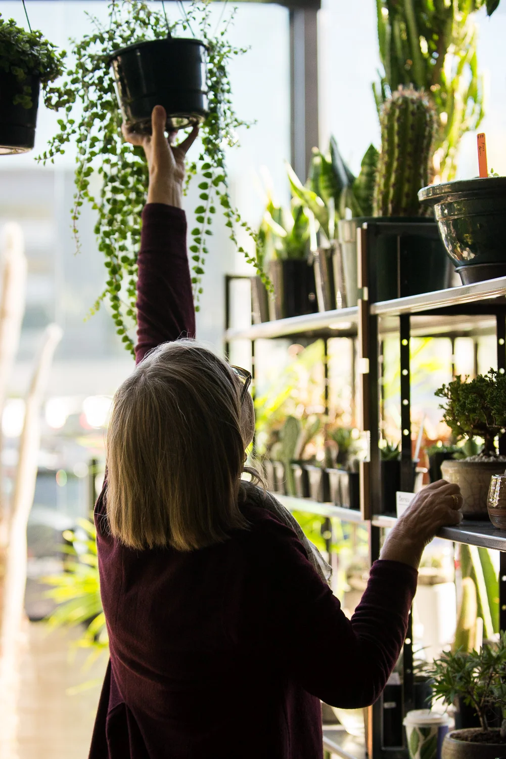 Charlotte Turner Photography Business social Media Branding Imagery Monstera (42 of 51).jpg