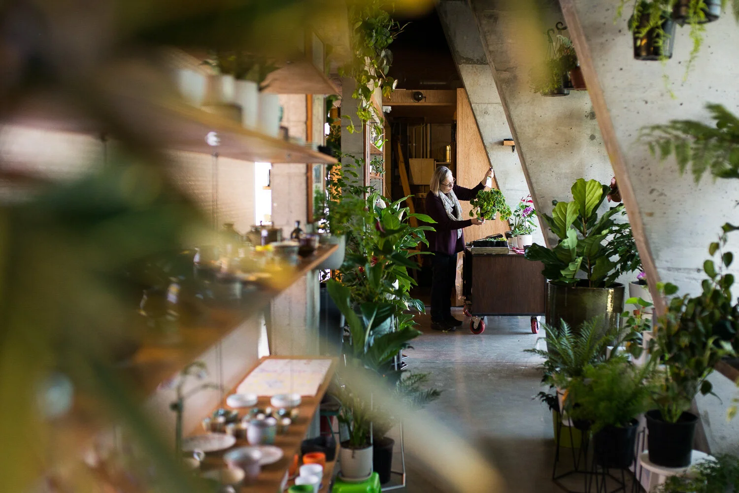 Charlotte Turner Photography Business social Media Branding Imagery Monstera (34 of 51).jpg