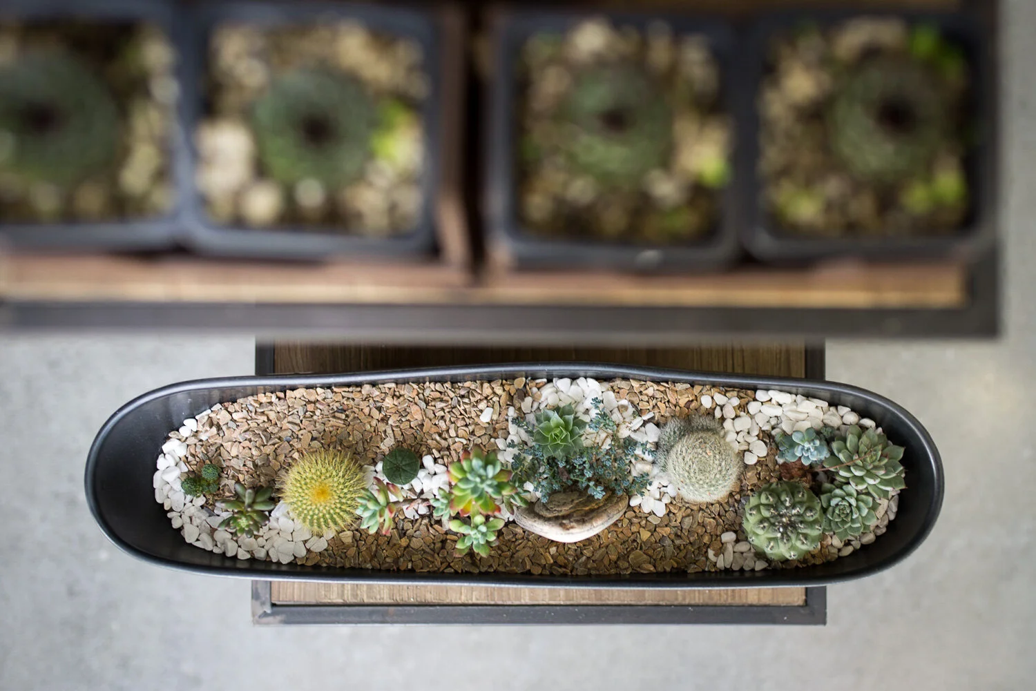 Charlotte Turner Photography Business social Media Branding Imagery Monstera (31 of 51).jpg