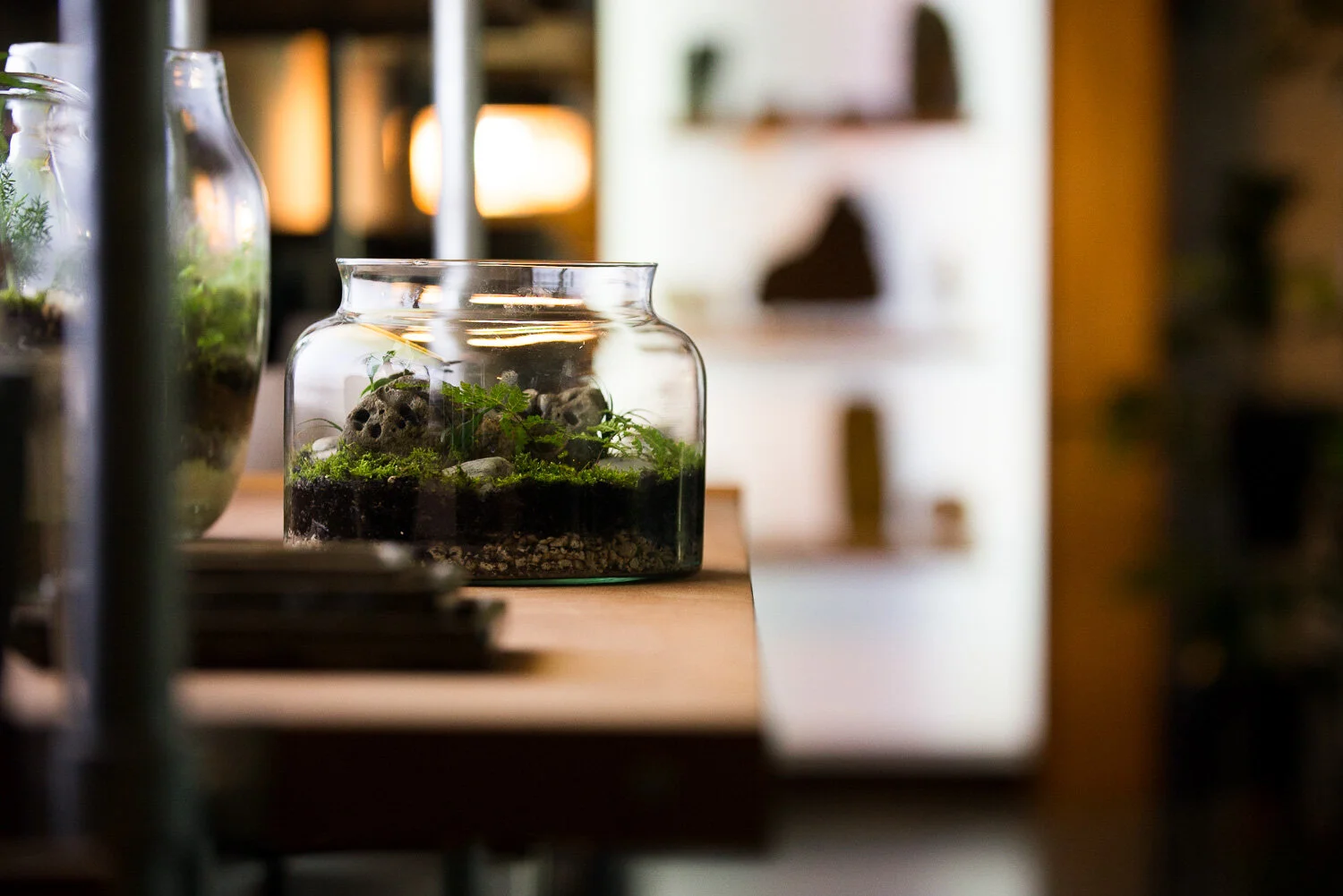 Charlotte Turner Photography Business social Media Branding Imagery Monstera (39 of 51).jpg