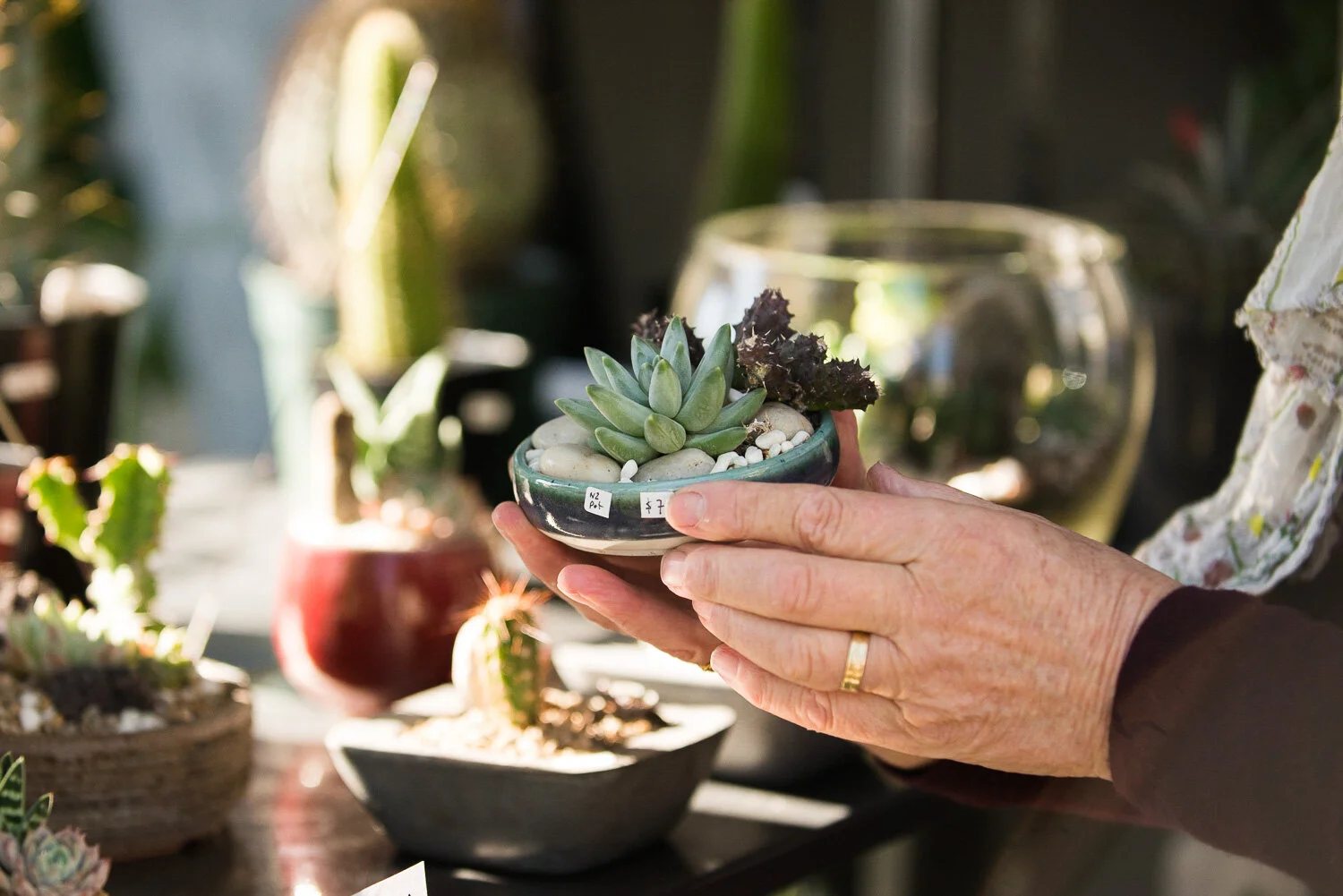 Charlotte Turner Photography Business social Media Branding Imagery Monstera (48 of 51).jpg