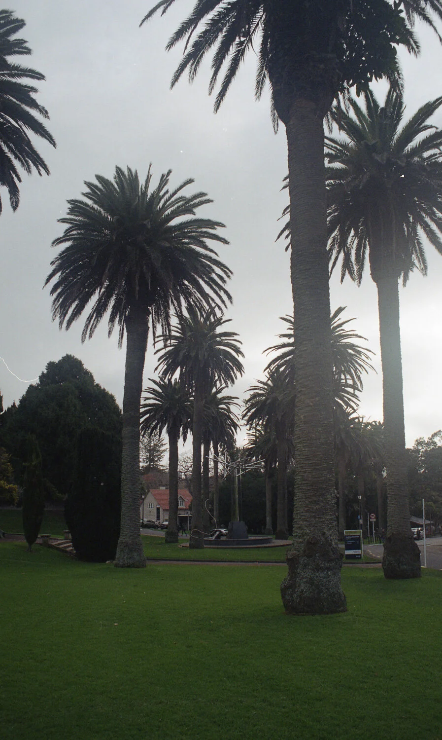 Charlotte Turner Photography Film Photos (10 of 23).jpg