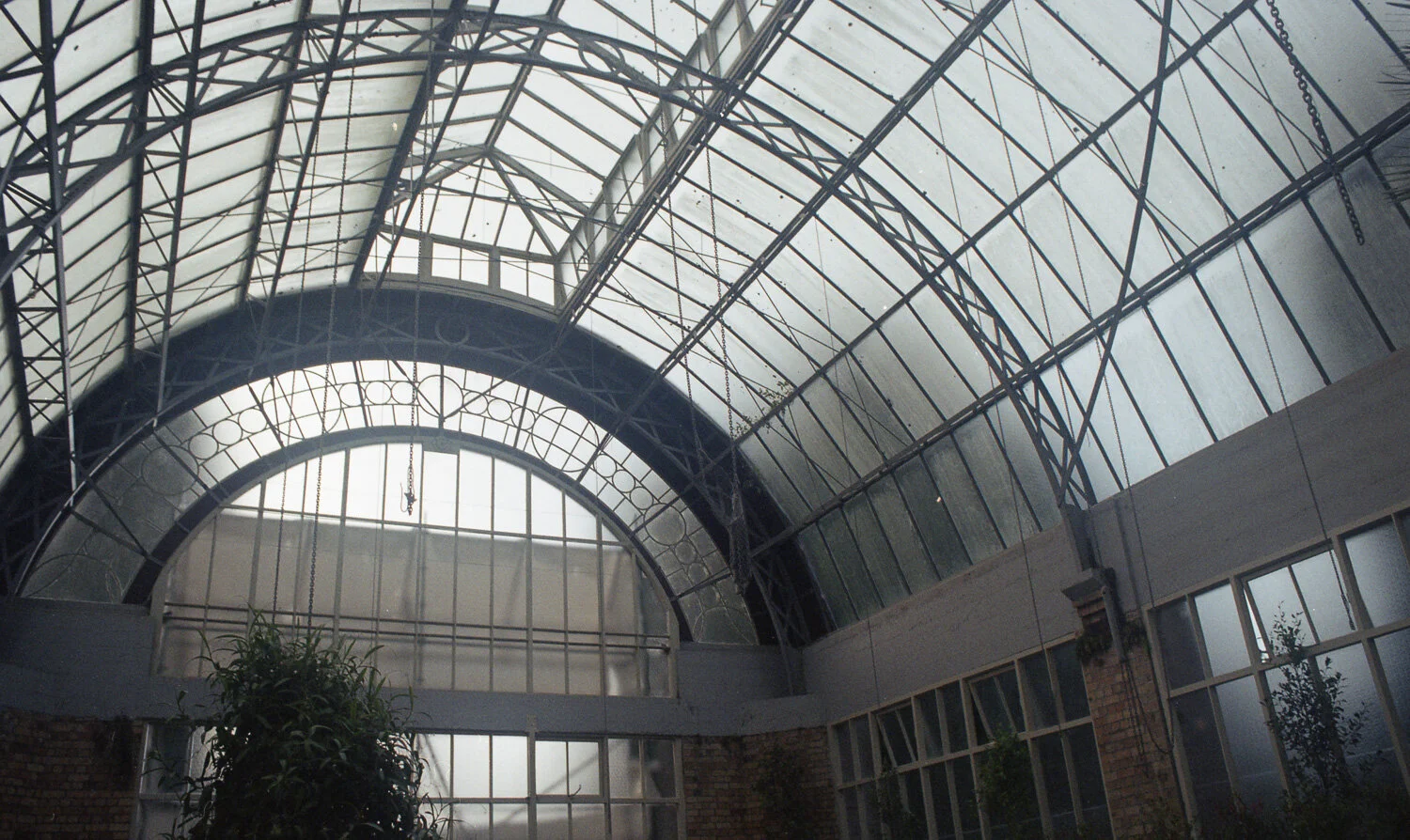 Charlotte Turner Photography Film Photos (19 of 23).jpg