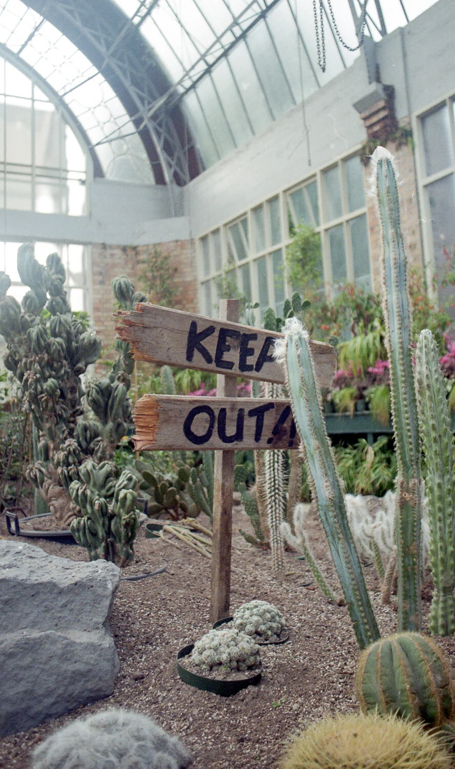 My Life on 35mm #15 | Kodak Gold 200, July 2019