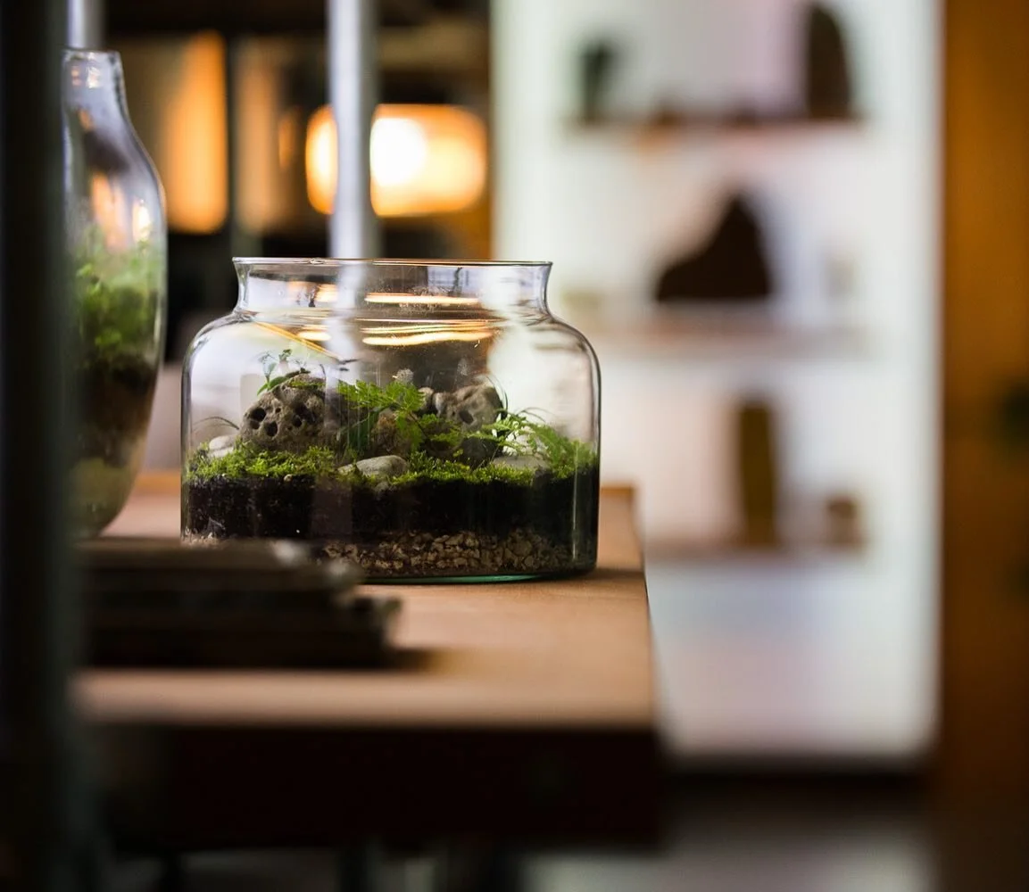 Capturing moody corners of gorgeous spaces again. This time, inside Monstera Monstera at the City Works Depot.⁠⠀
⁠⠀
.⁠⠀
.⁠⠀
.⁠⠀
.⁠⠀
.⁠⠀
.⁠⠀
.⁠⠀
.⁠⠀
⁠⠀
#nzphotographer #photographer #nzcreative #millennialcreative #photographerslife #photographerlife #nzbusiness #supportlocal ⁠⠀
#Interiorphotography #architecturephotography
