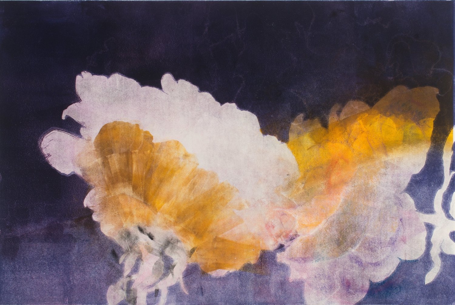 Roses, 2017, monotype, 22" x 30"