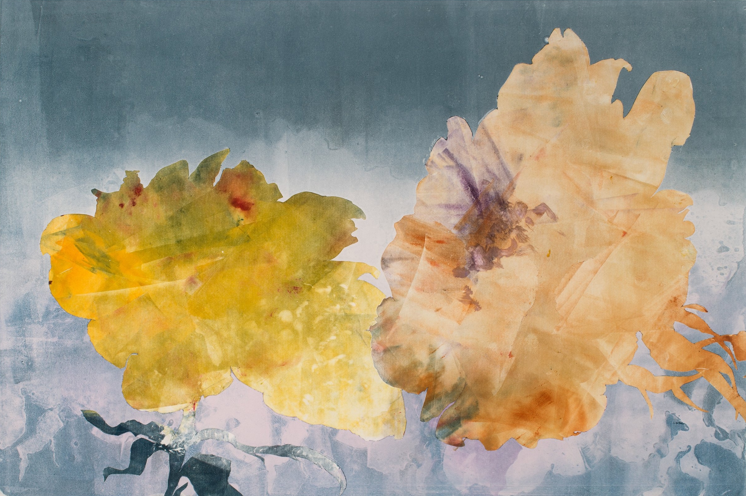Yellow and Orange Roses, 2017, monotype, 22" x 30"