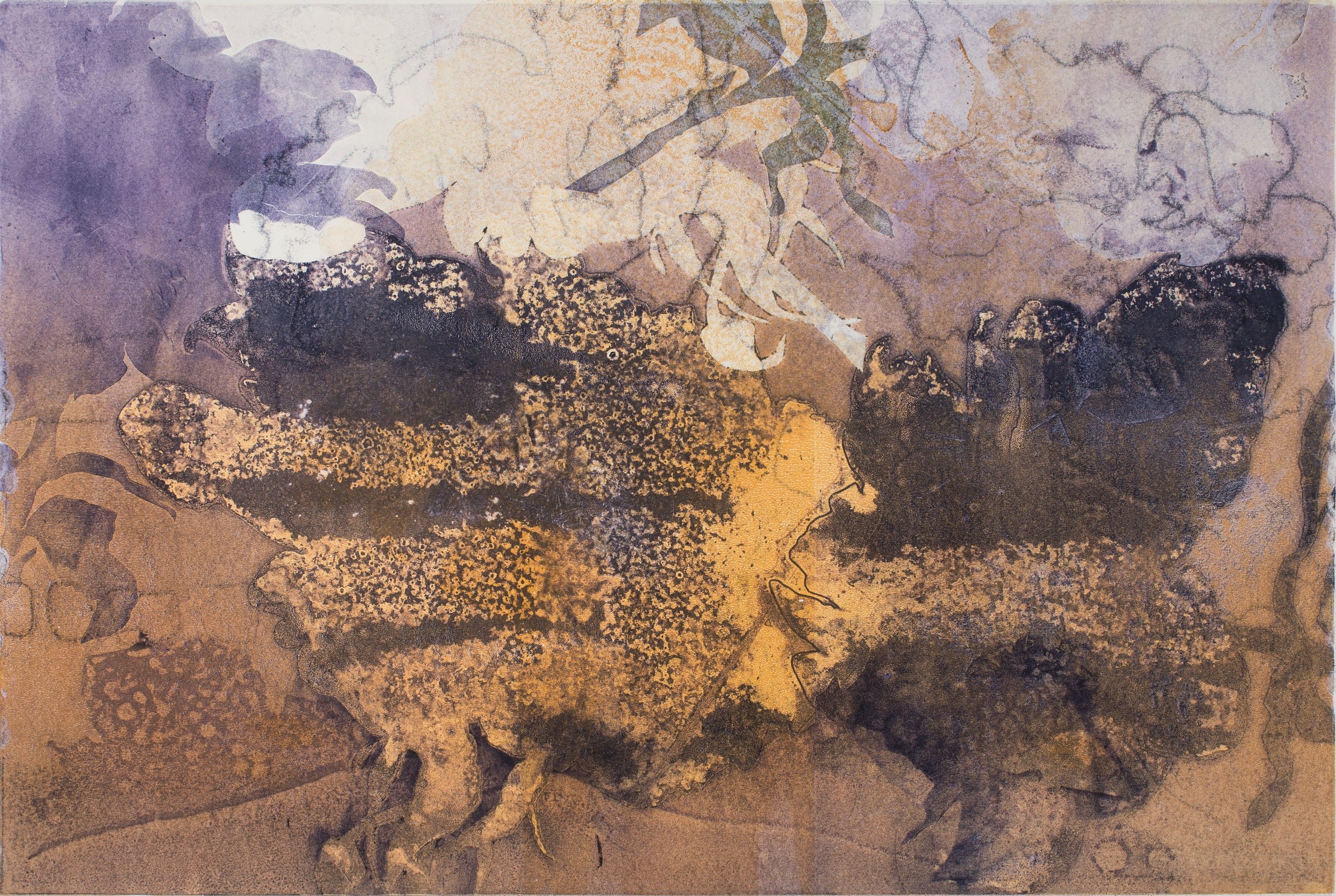 Landscape of Roses, 2017, monotype, 22" x 30"