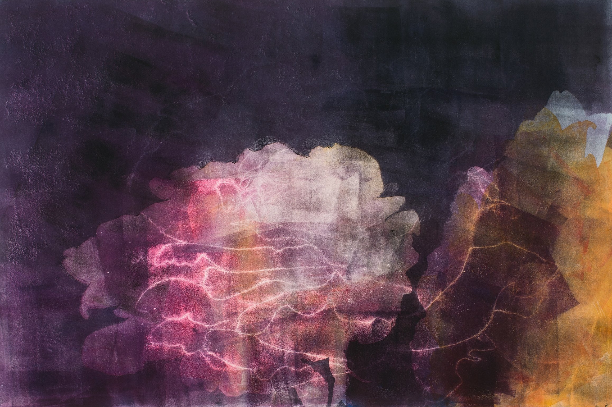 Neon Rose, 2017, monotype, 22" x 30"