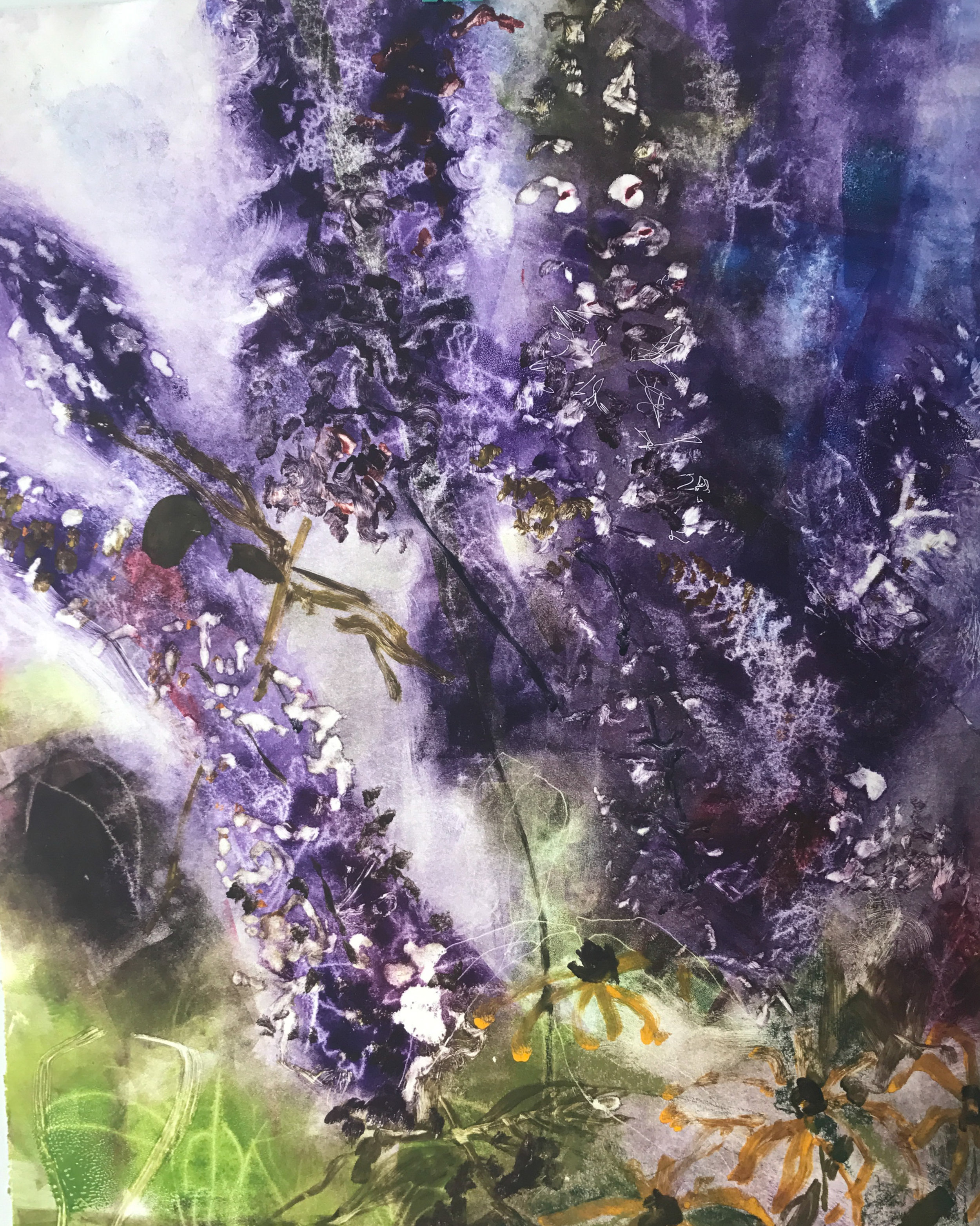 August Buddleia, monotype, 22 x 27, 2017