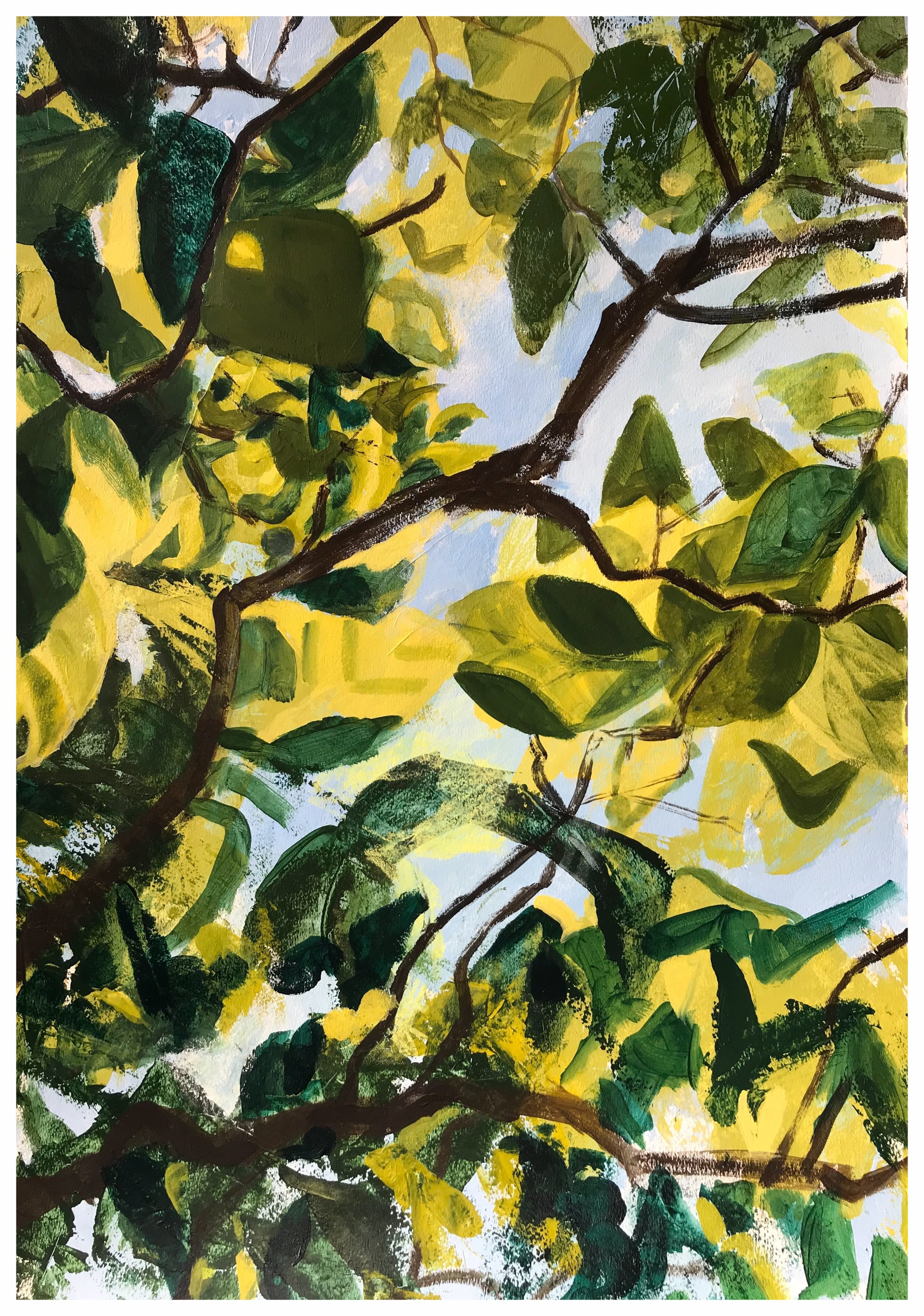 Branching, 2018, acrylic & pastel on paper, 22”x 30”