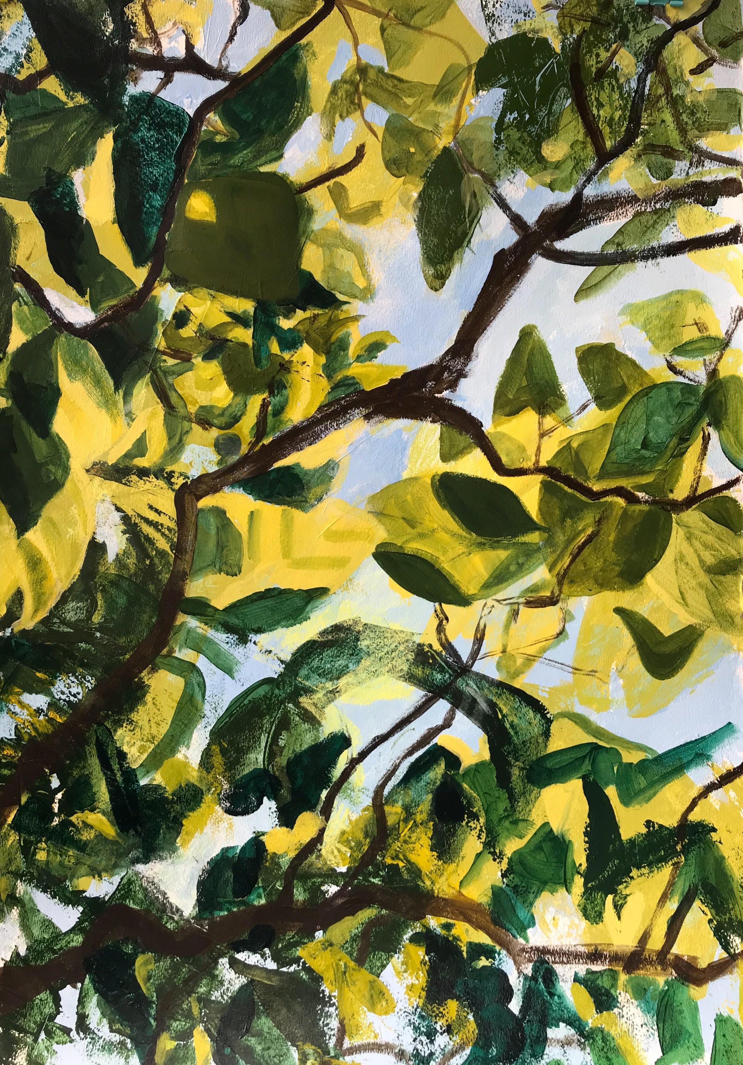 Branching, 2018, acrylic & pastel on paper, 20” x 30”
