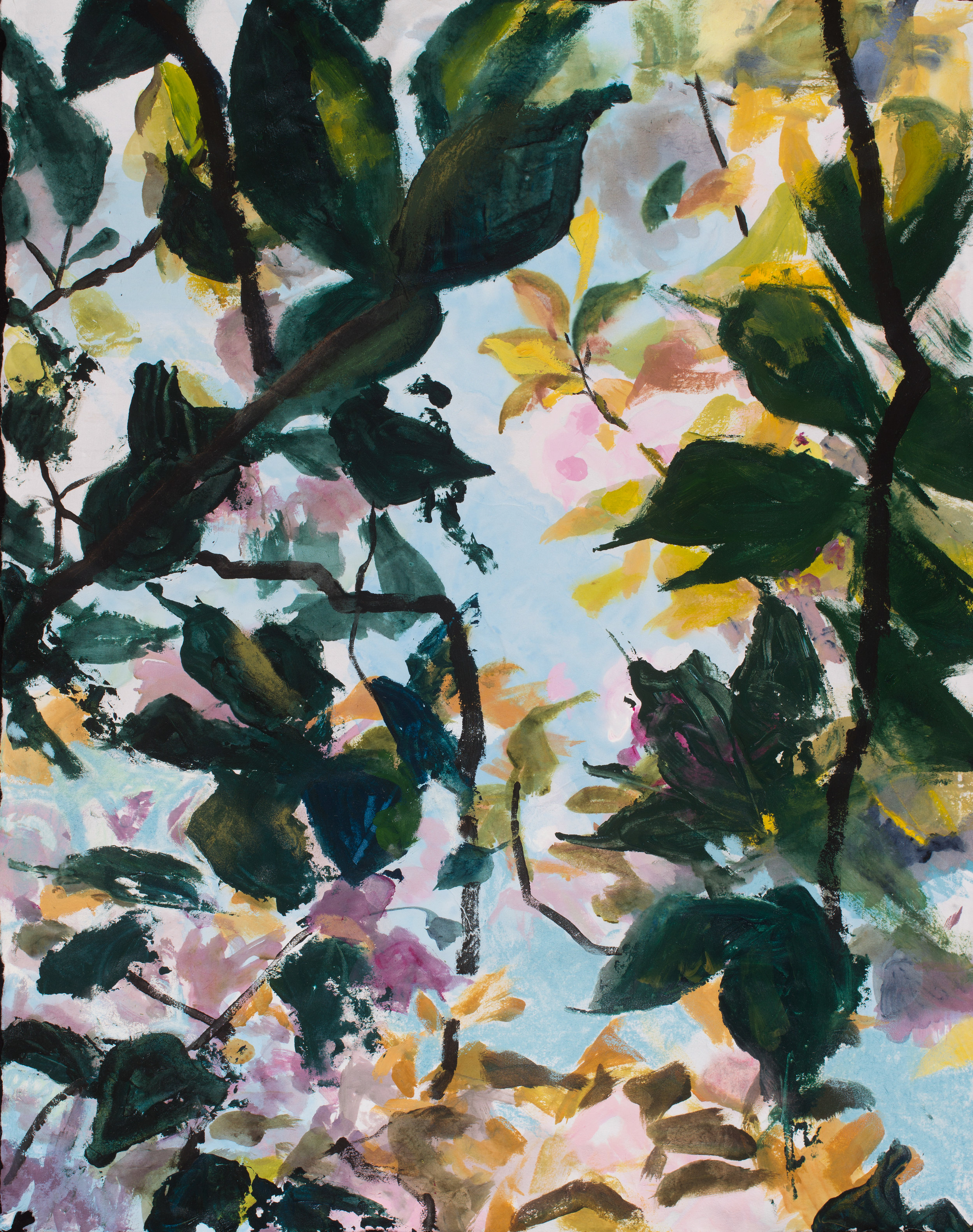 Through the Branches, 2018, acrylic and pastel on paper, 18” x 22”