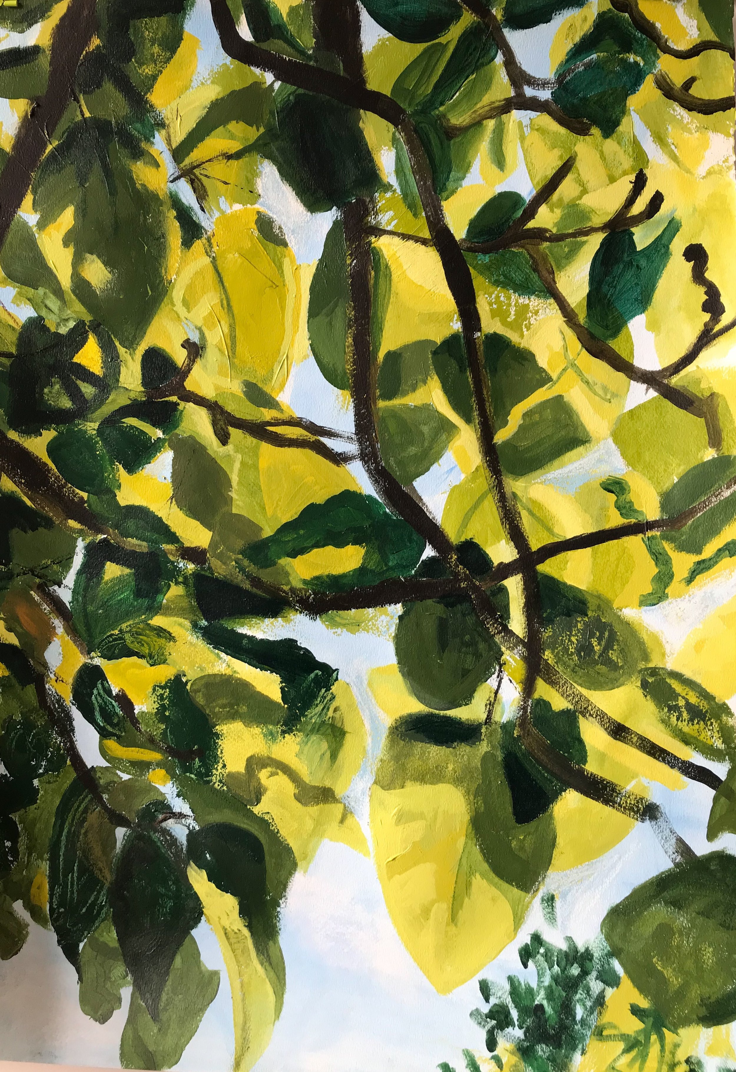 Midsummer, 2018, acrylic & pastel on paper, 18” x x 22”