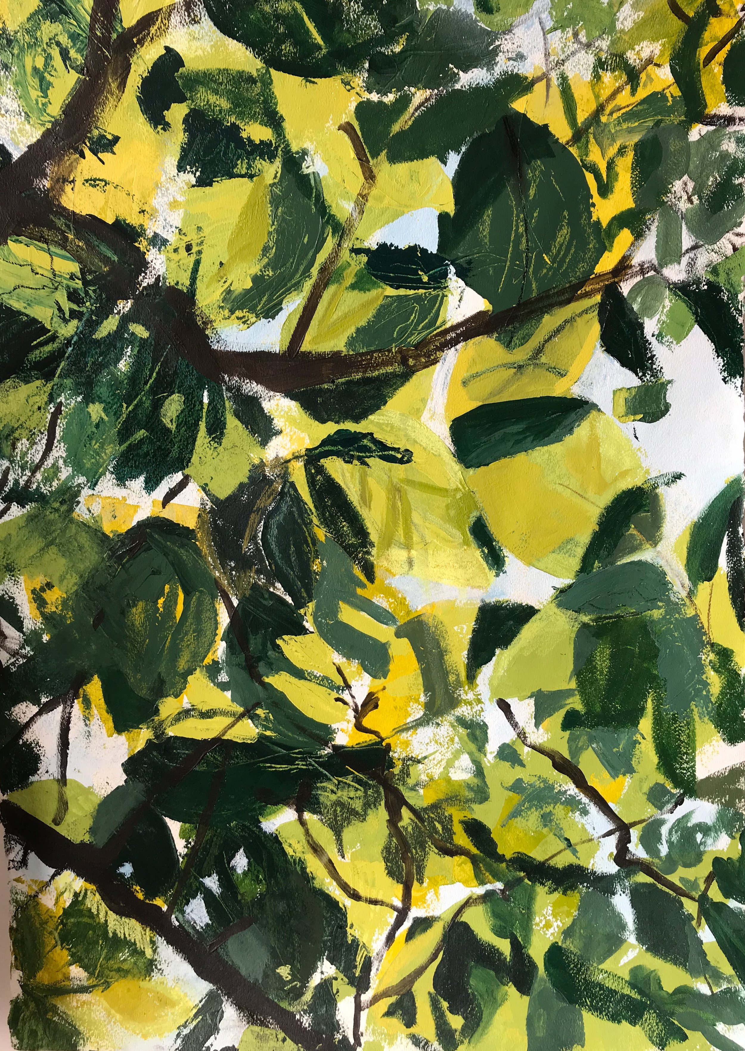 Filtered Sun, 2018, acrylic & pastel on paper, 22” x 30”