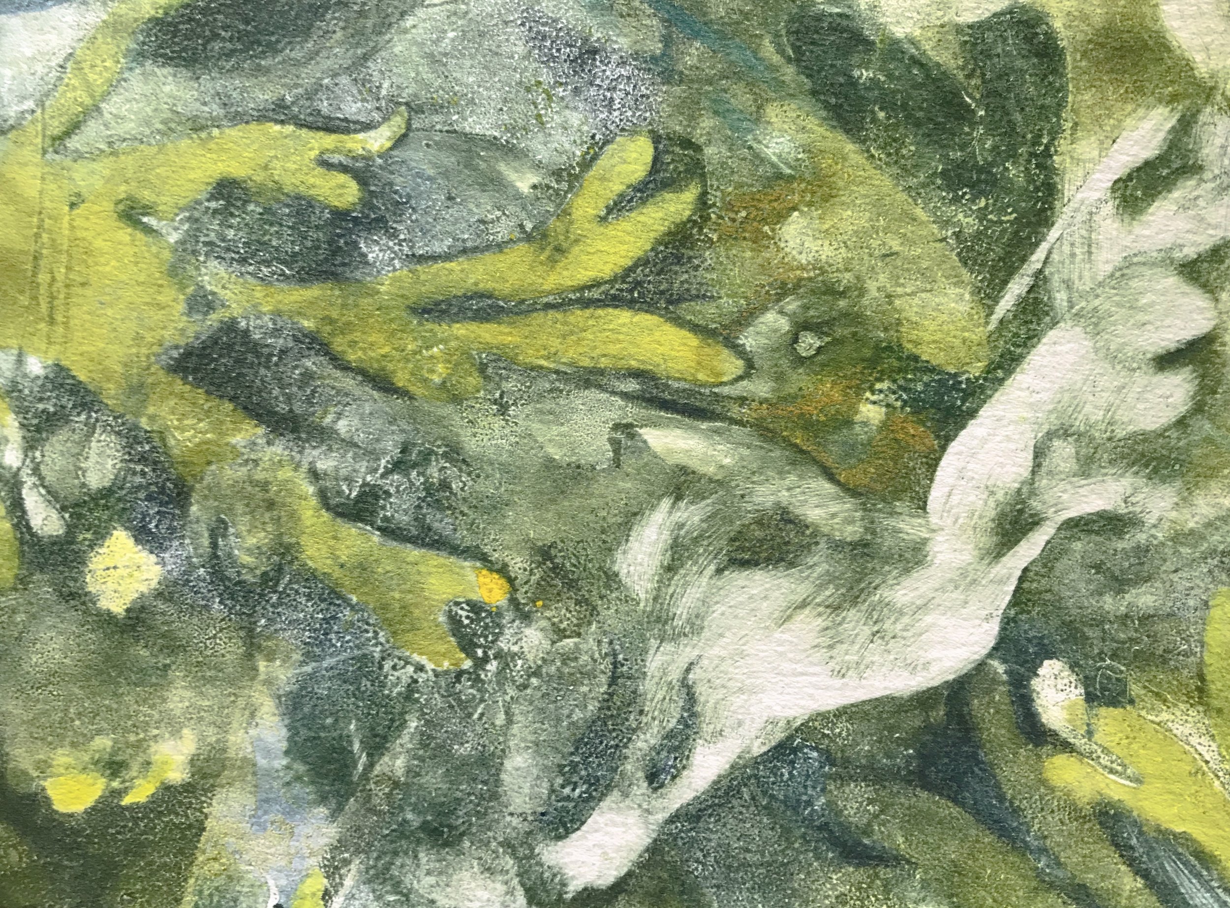 Tidal Pool Study, 2017, monotype, 5” x 7”