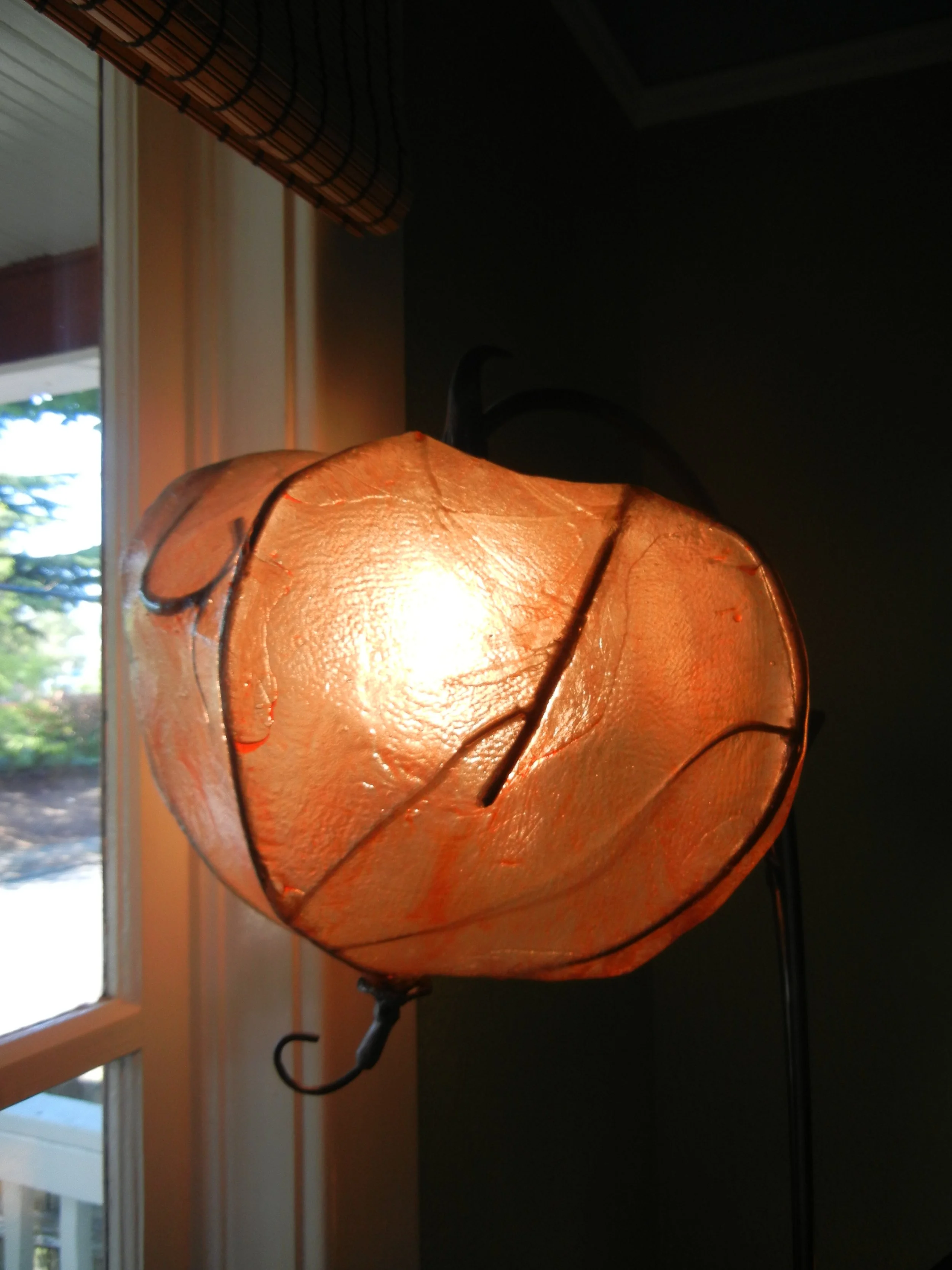 DSCN5820.JPG