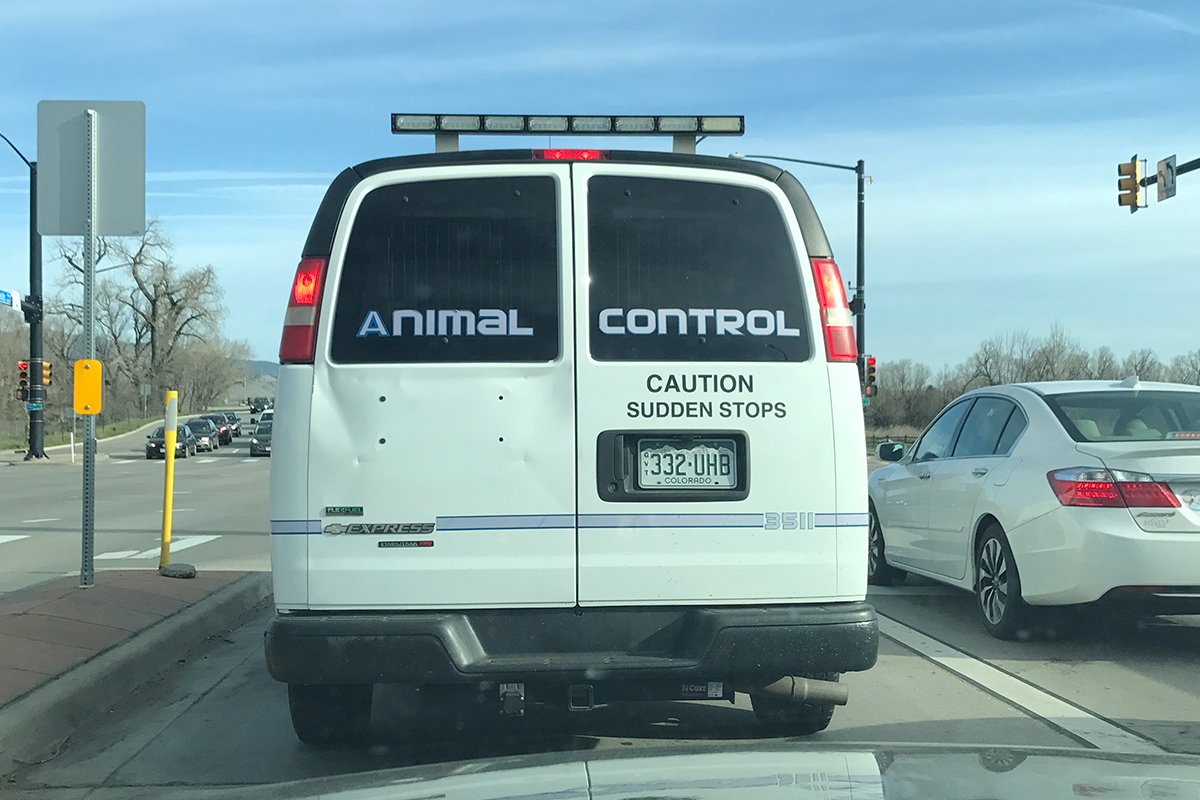 Wacky Van #1: I call this ‘replAce’.