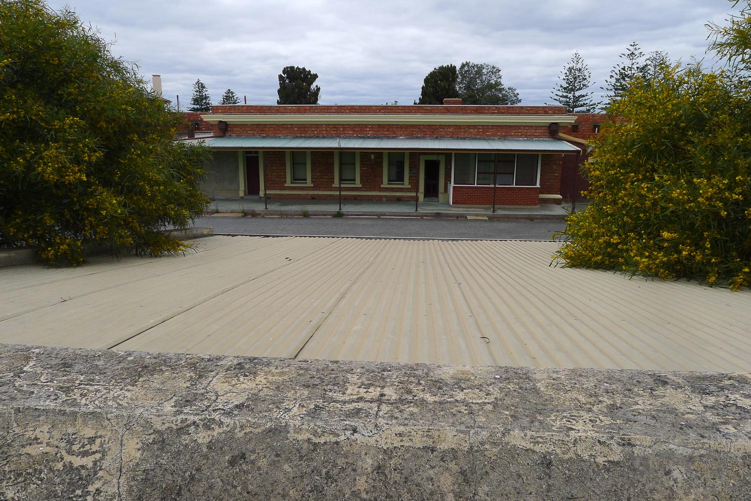 P1130042-13.jpg