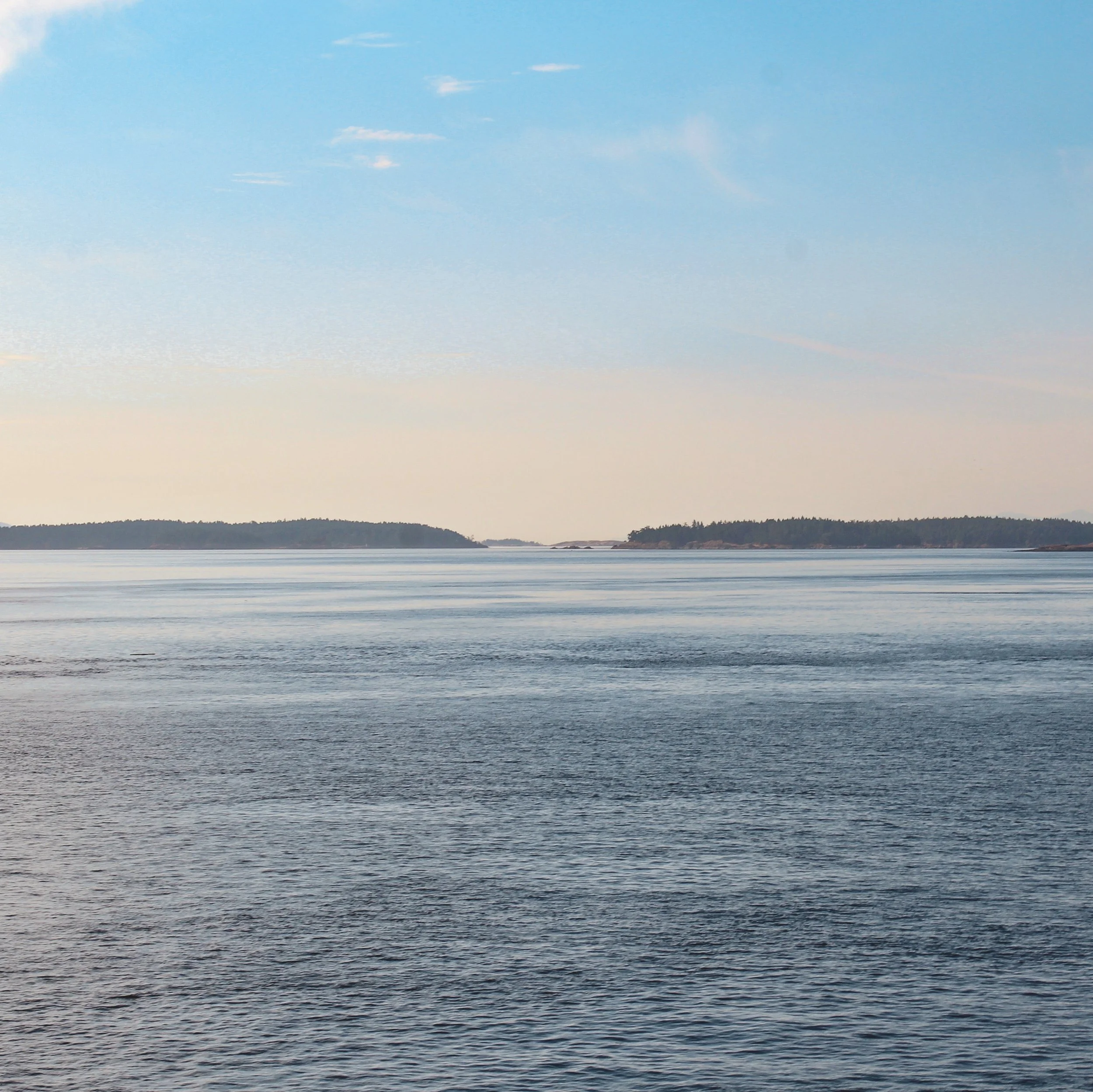 Ferry Vancouver to Victoria, Vancouver Island.jpg