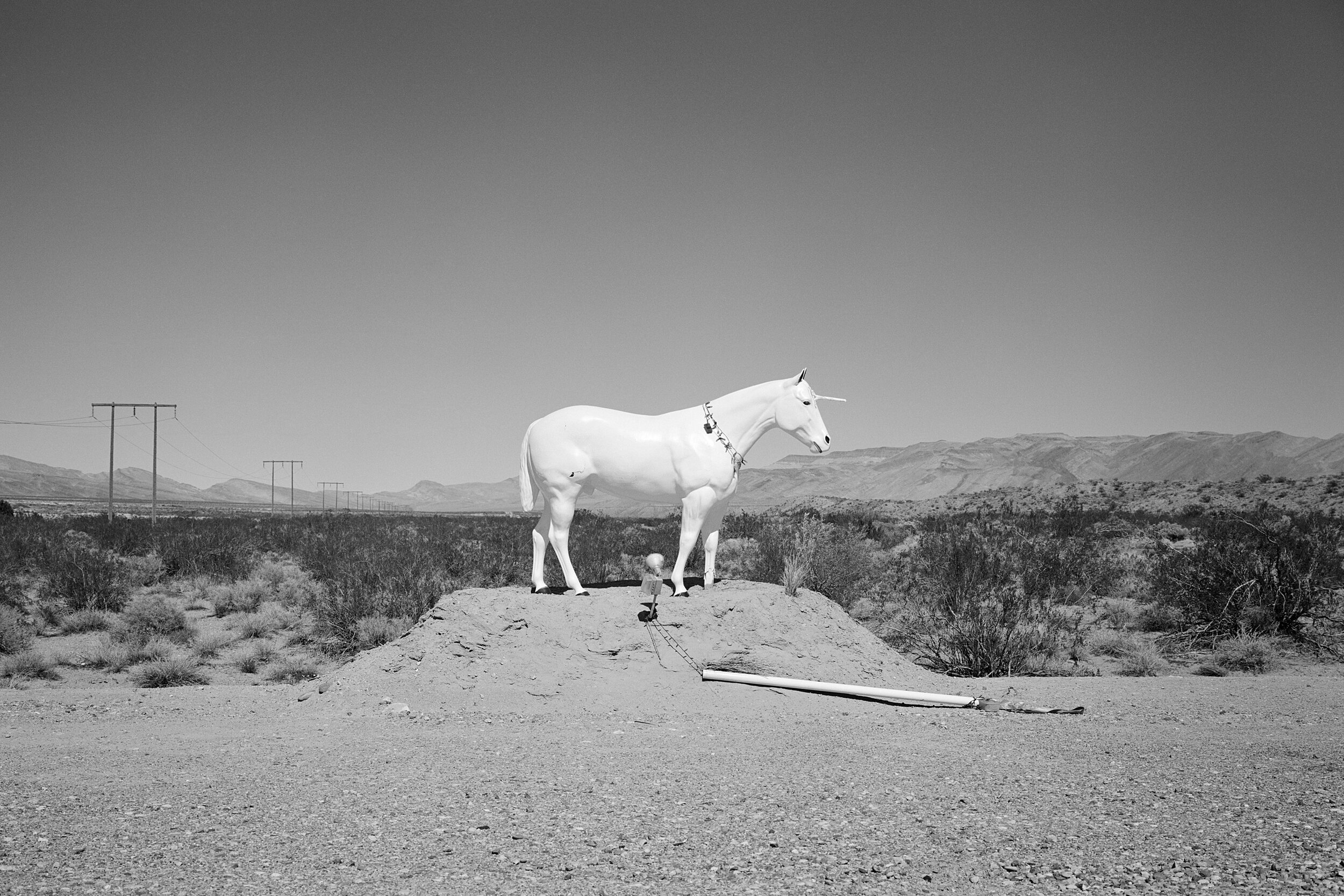 Unicorn, Outside Las Vegas, NV. 2009