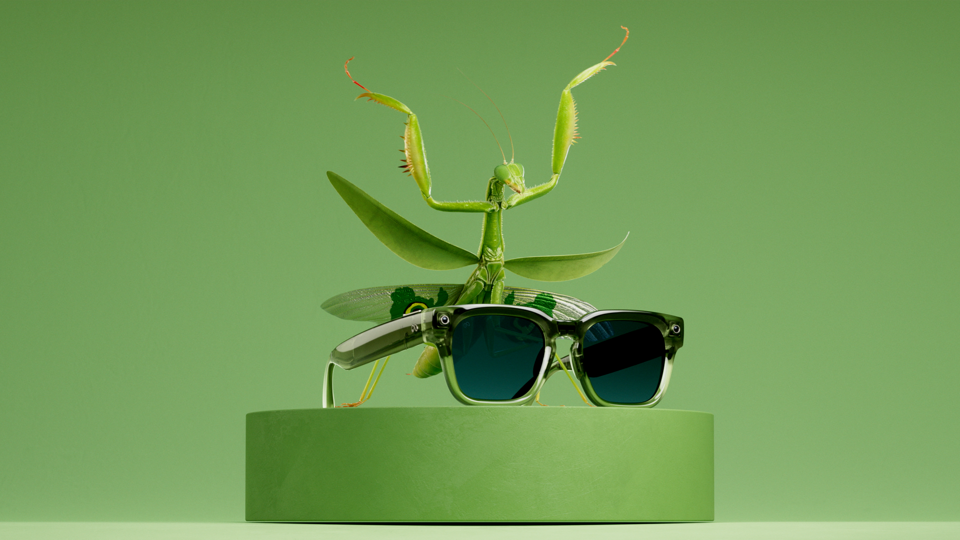 mantis.png