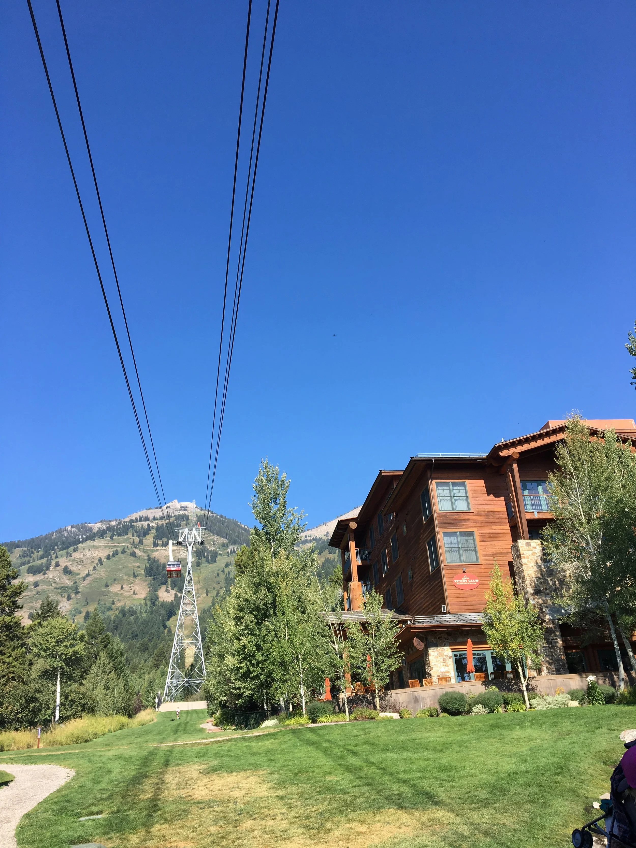 IMG_6275.jpeg