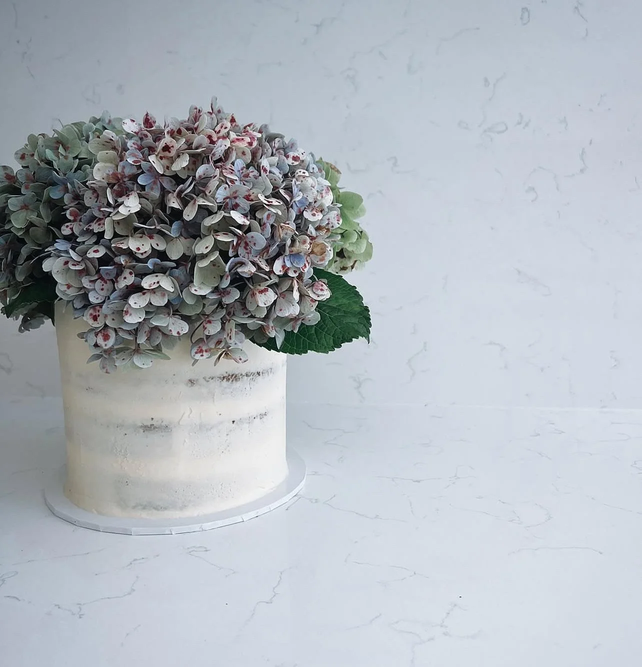 Nude cake with hydrangeas.jpeg