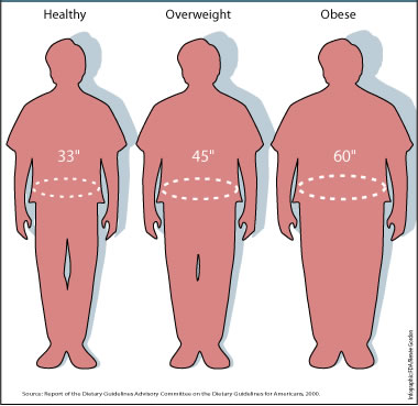 BMI.jpg