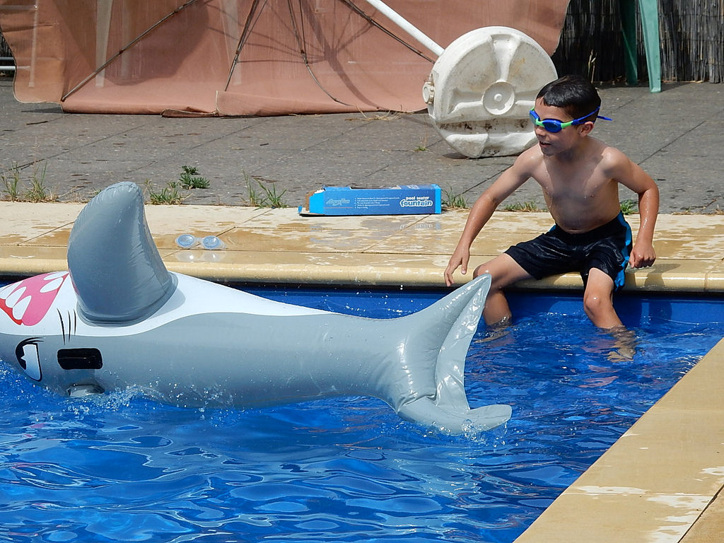shark in pool.jpg