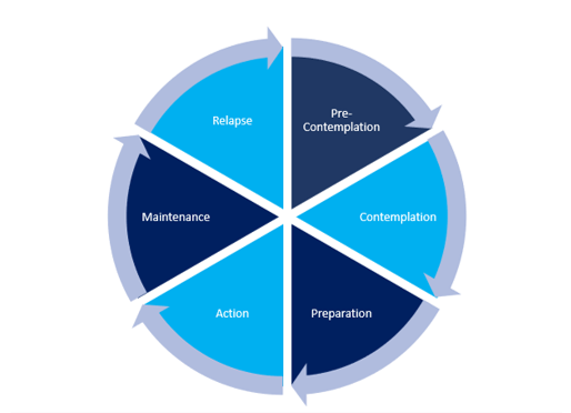 trasnformational change model.png