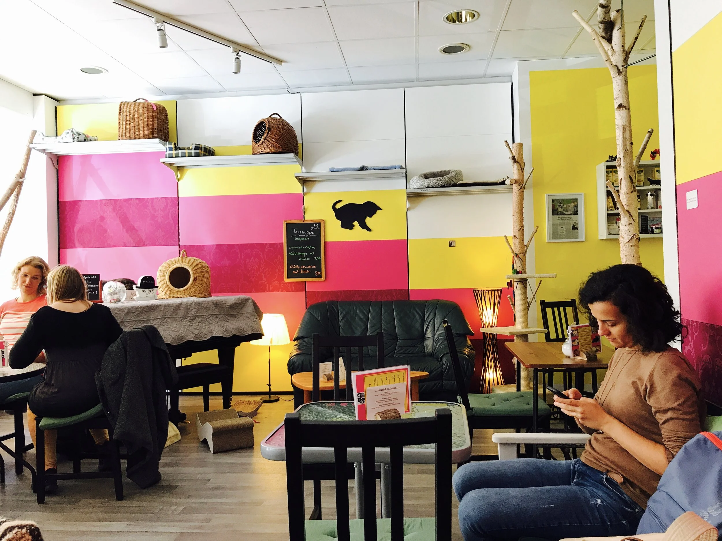 Zur Mieze has a cheerful atmosphere and modern decor