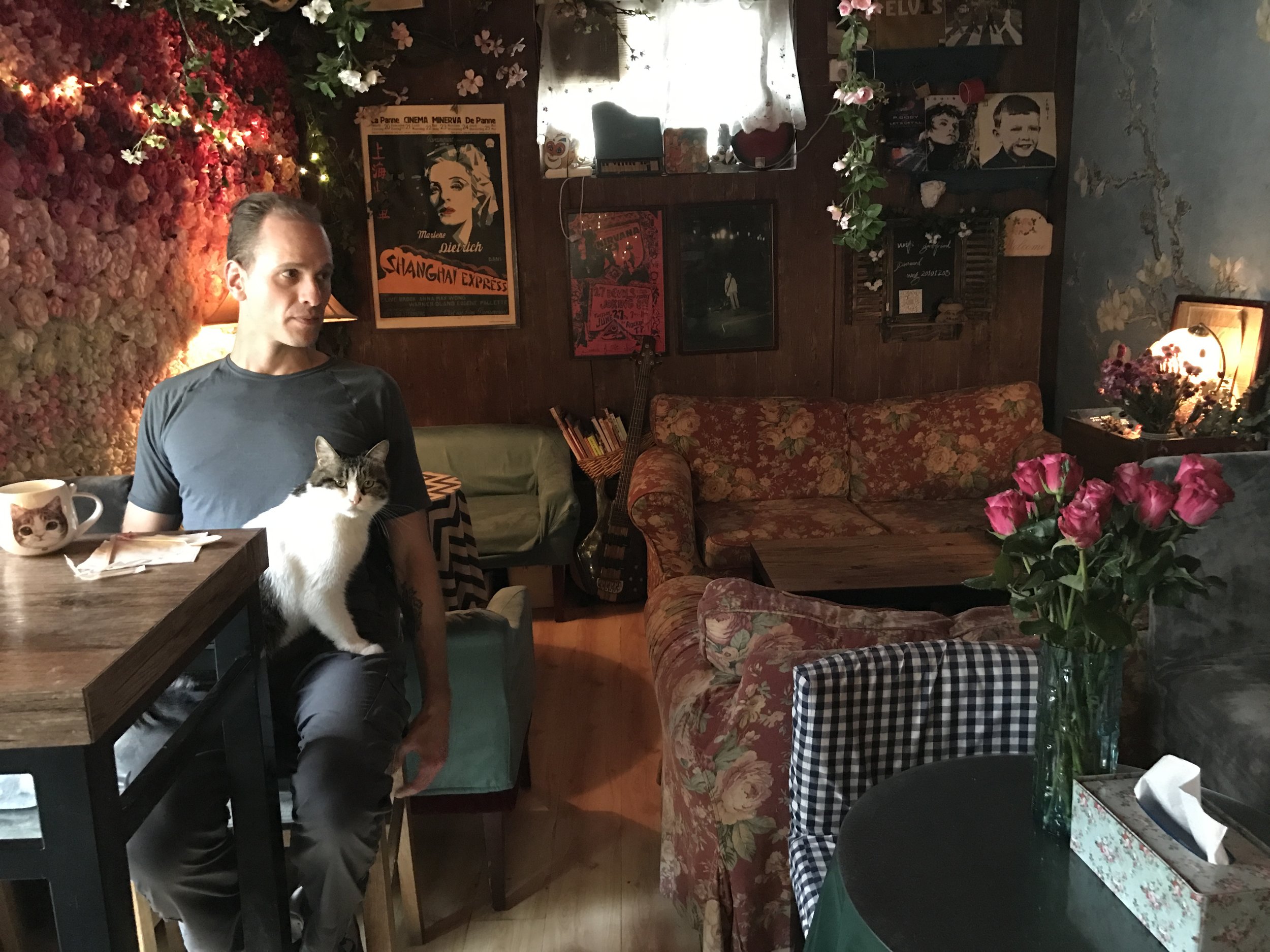 Photo Essay of Cat Cafes in Beijing