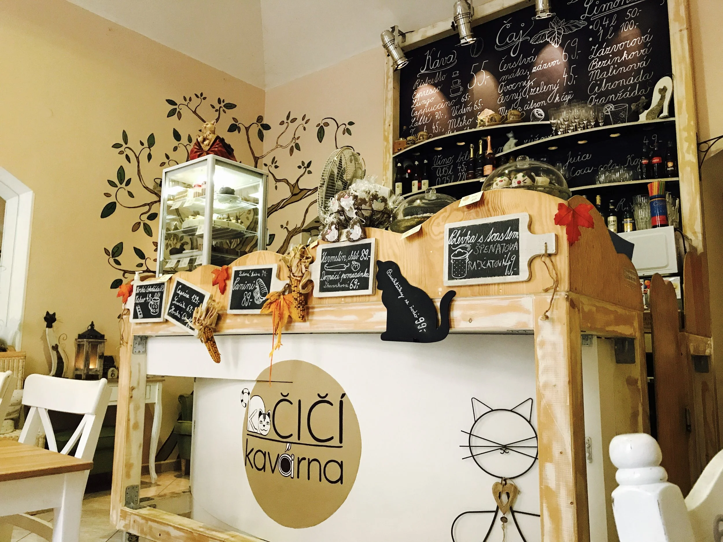 Kocici Kavarna is a beautiful cat cafe in Prague, Czech Republic