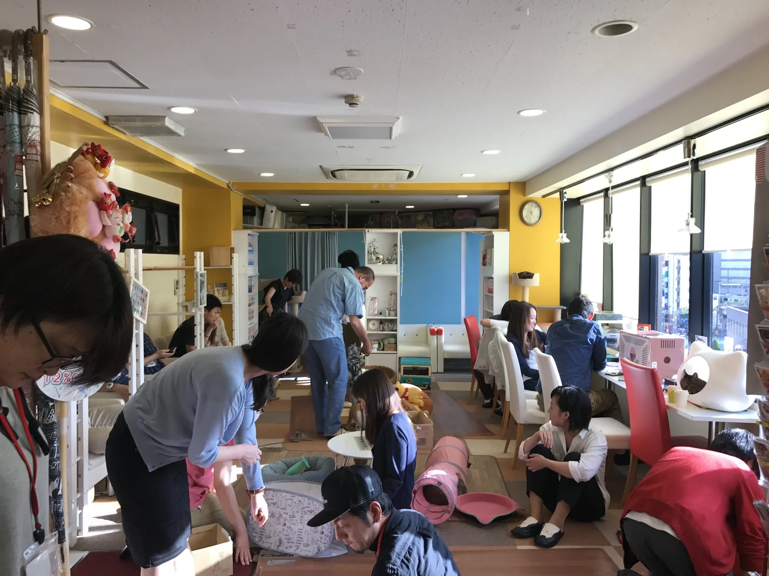 Neko Maru Cafe Ueno — The Neighbor's Cat