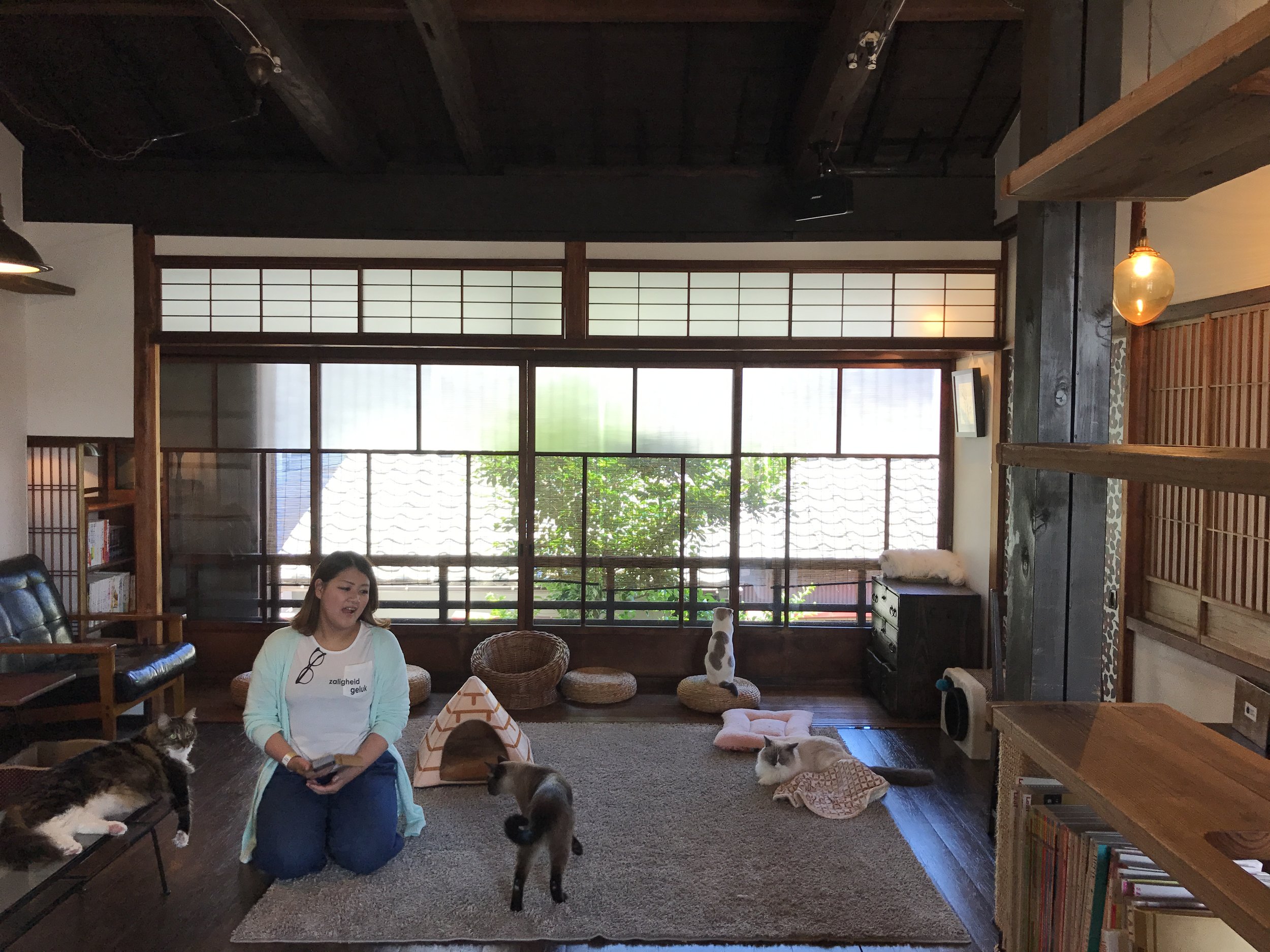Cat Apartment Coffee in Kyoto, Japan is one of the best cat cafes in the world