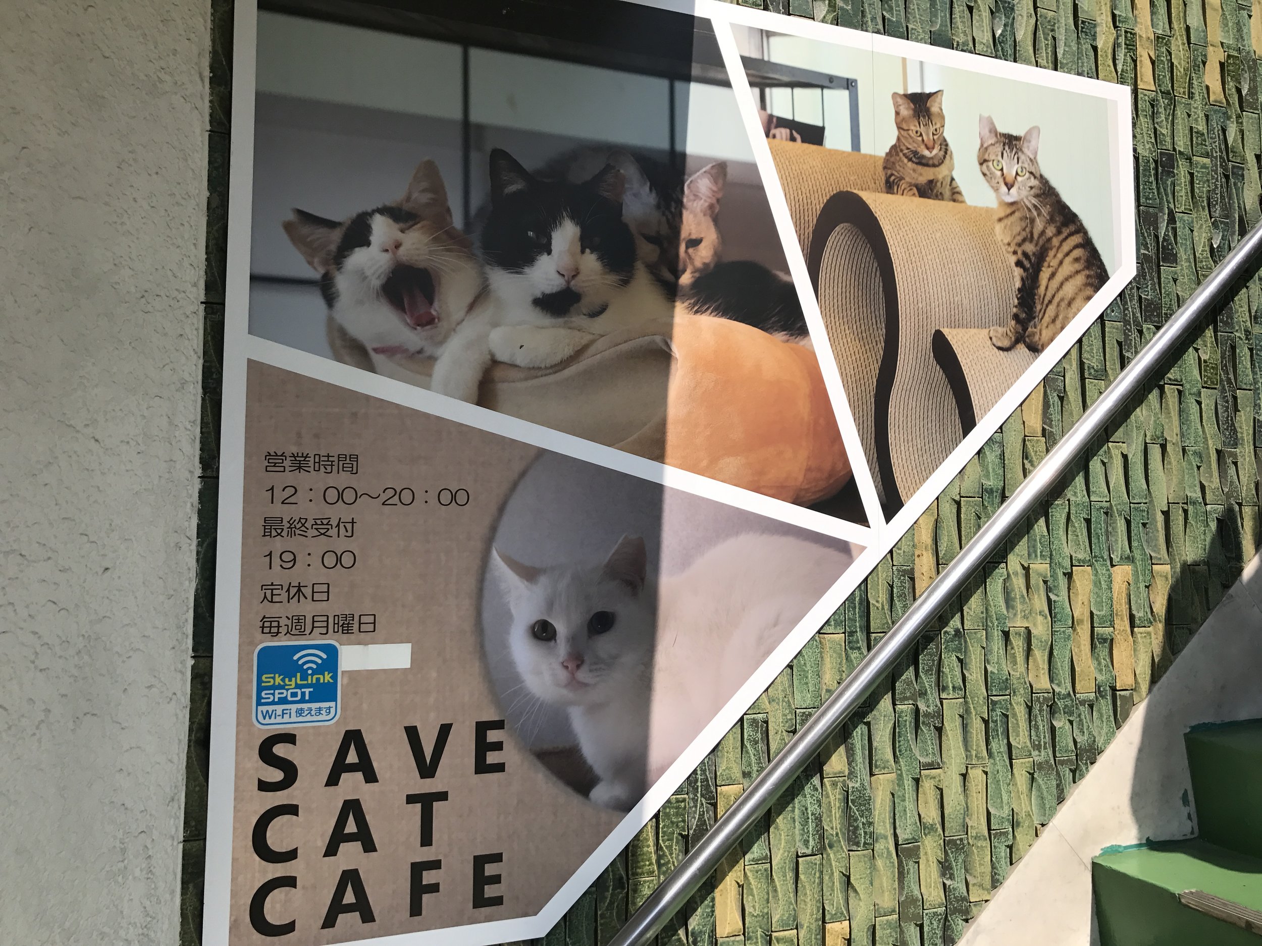 Save Cat Cafe is located near the Tenma metro station in Osaka, Japan