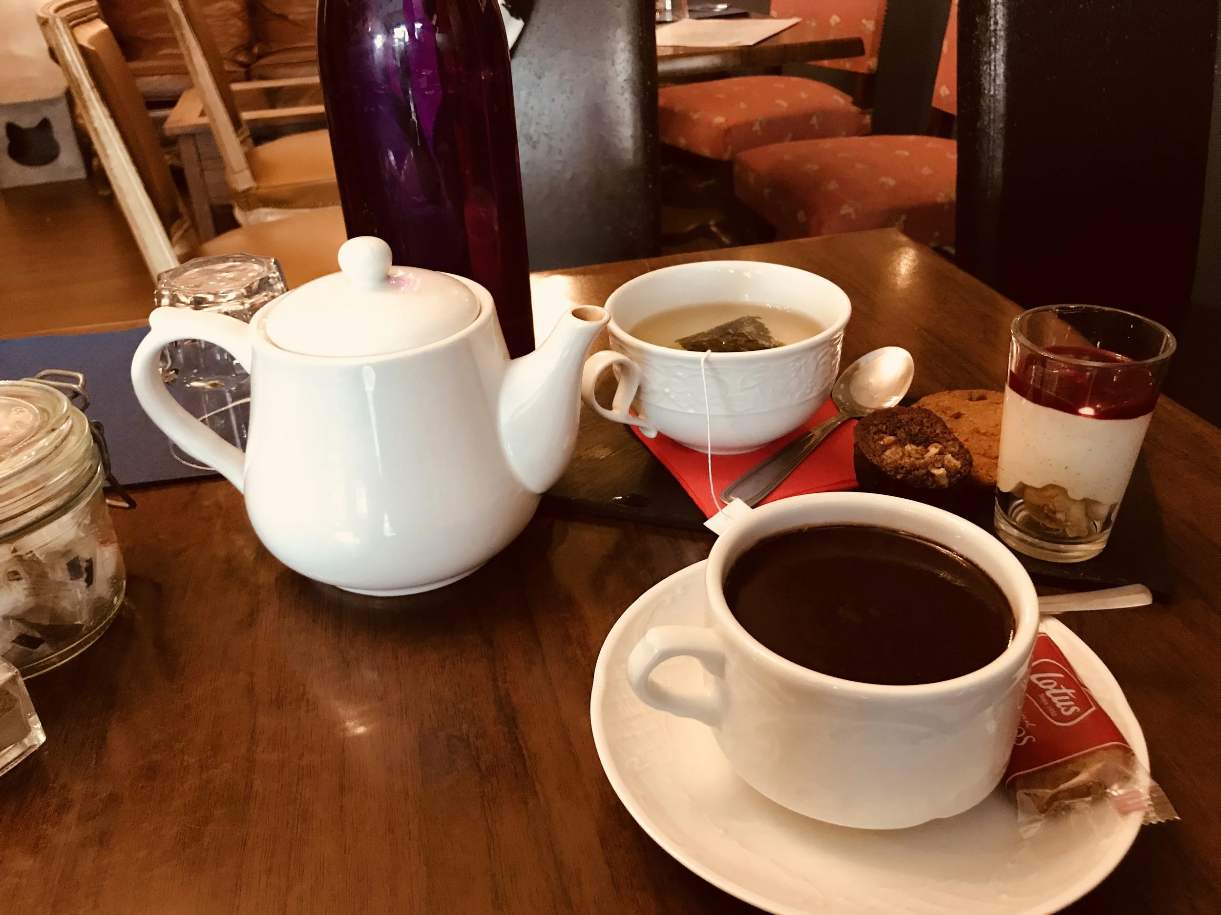 Cafedeschats_paris-32.jpg