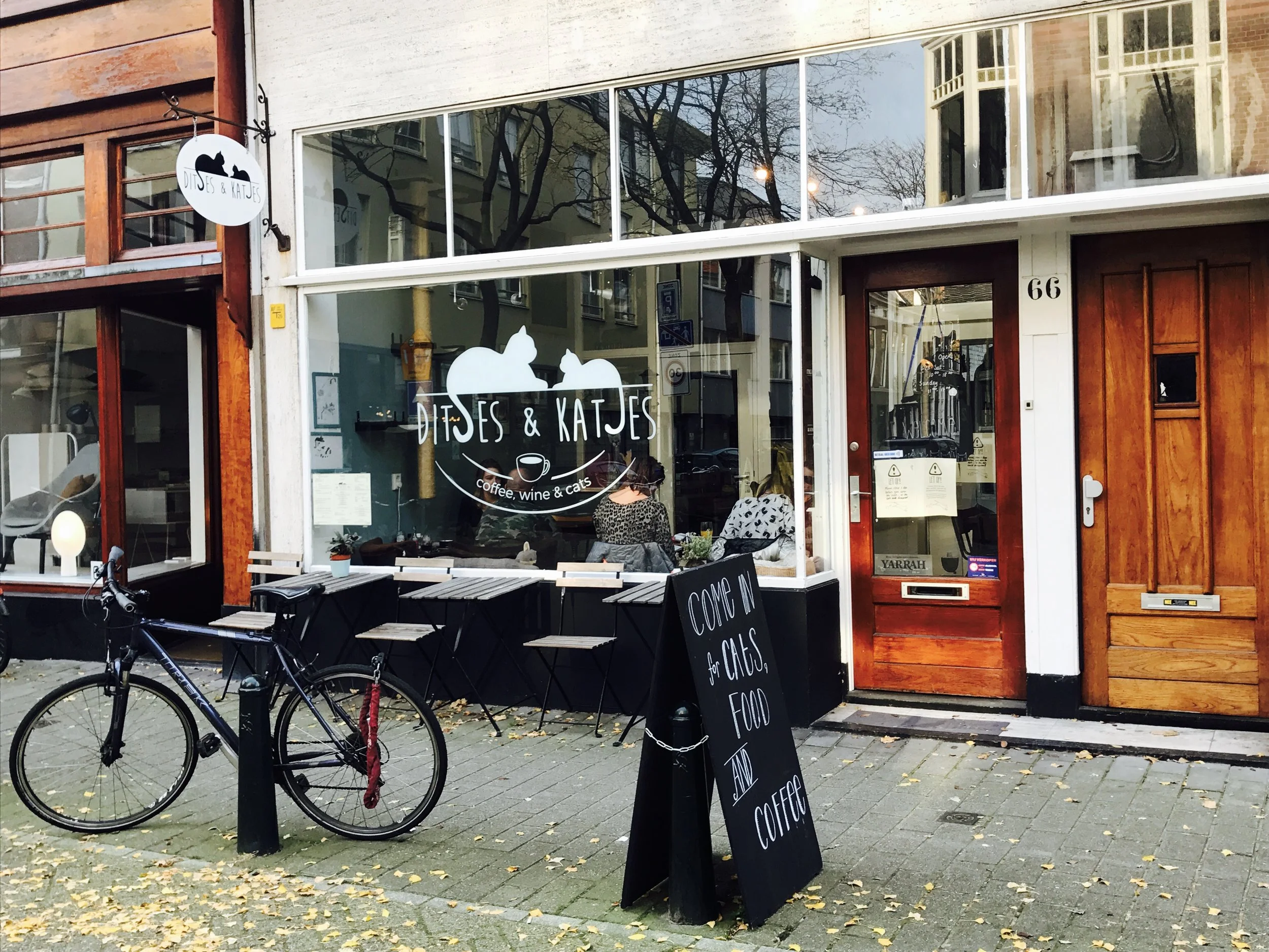 DitsesKatjes-29.jpg