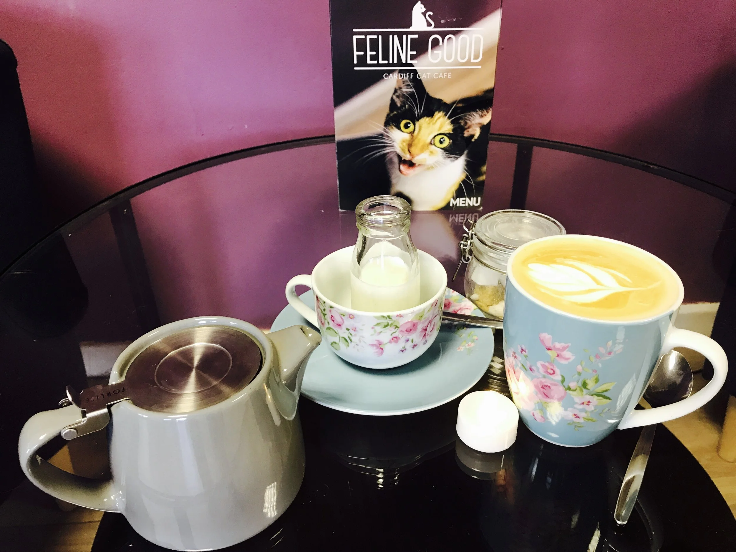 FelineGood-20.jpg