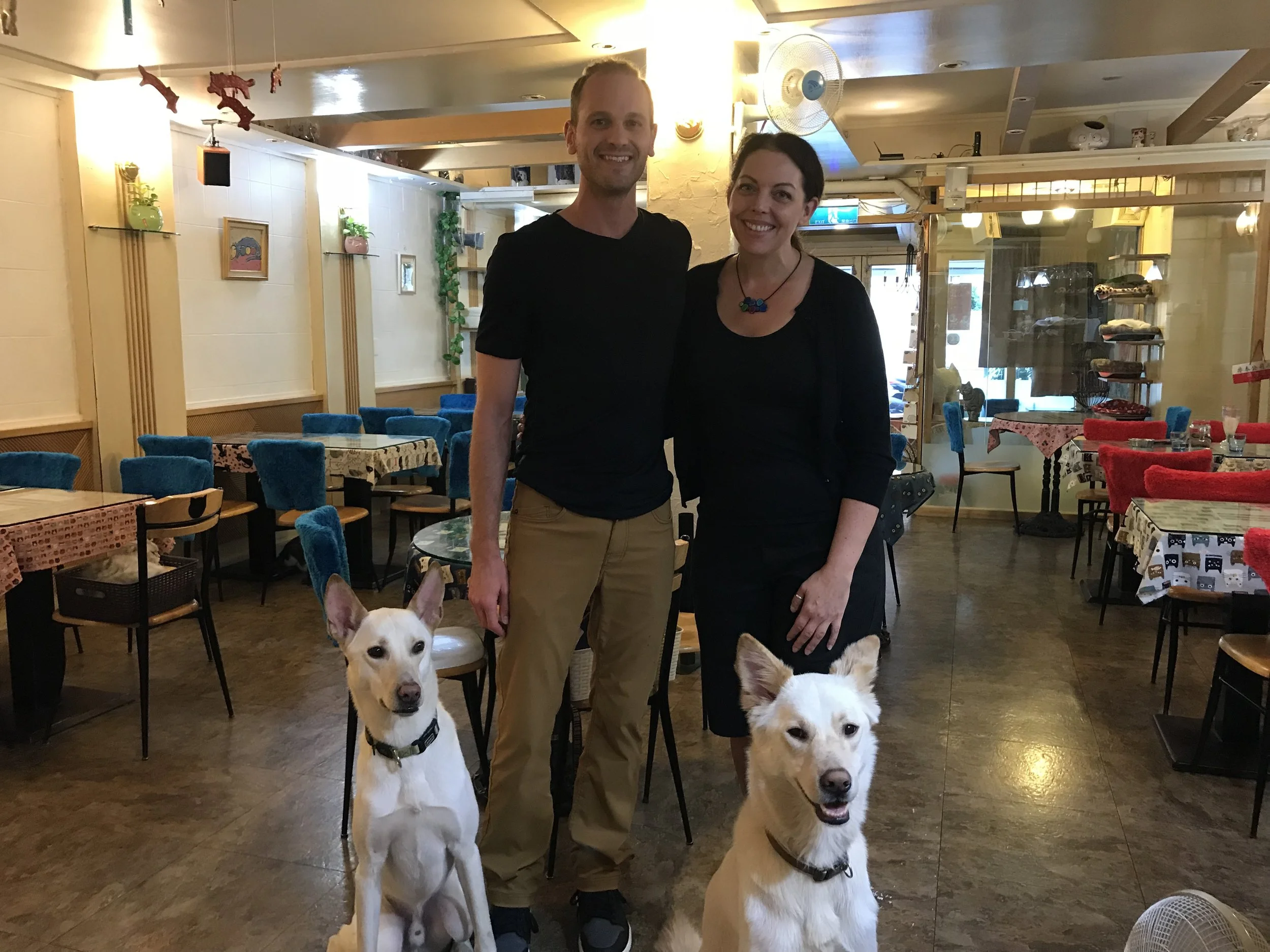 Kittengardencoffee-41.jpg