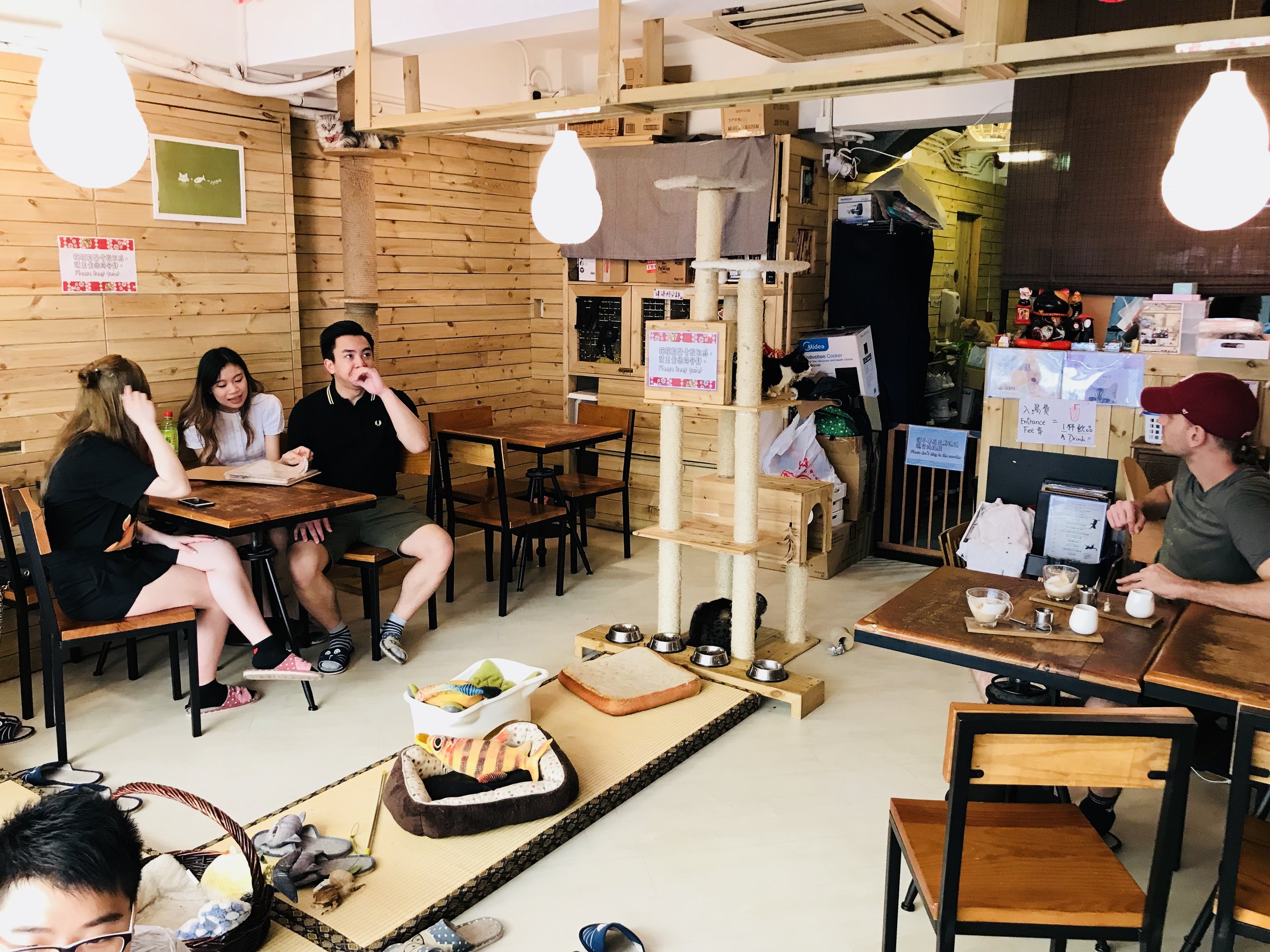 Mr and Mrs Cat Cafe-50.jpg